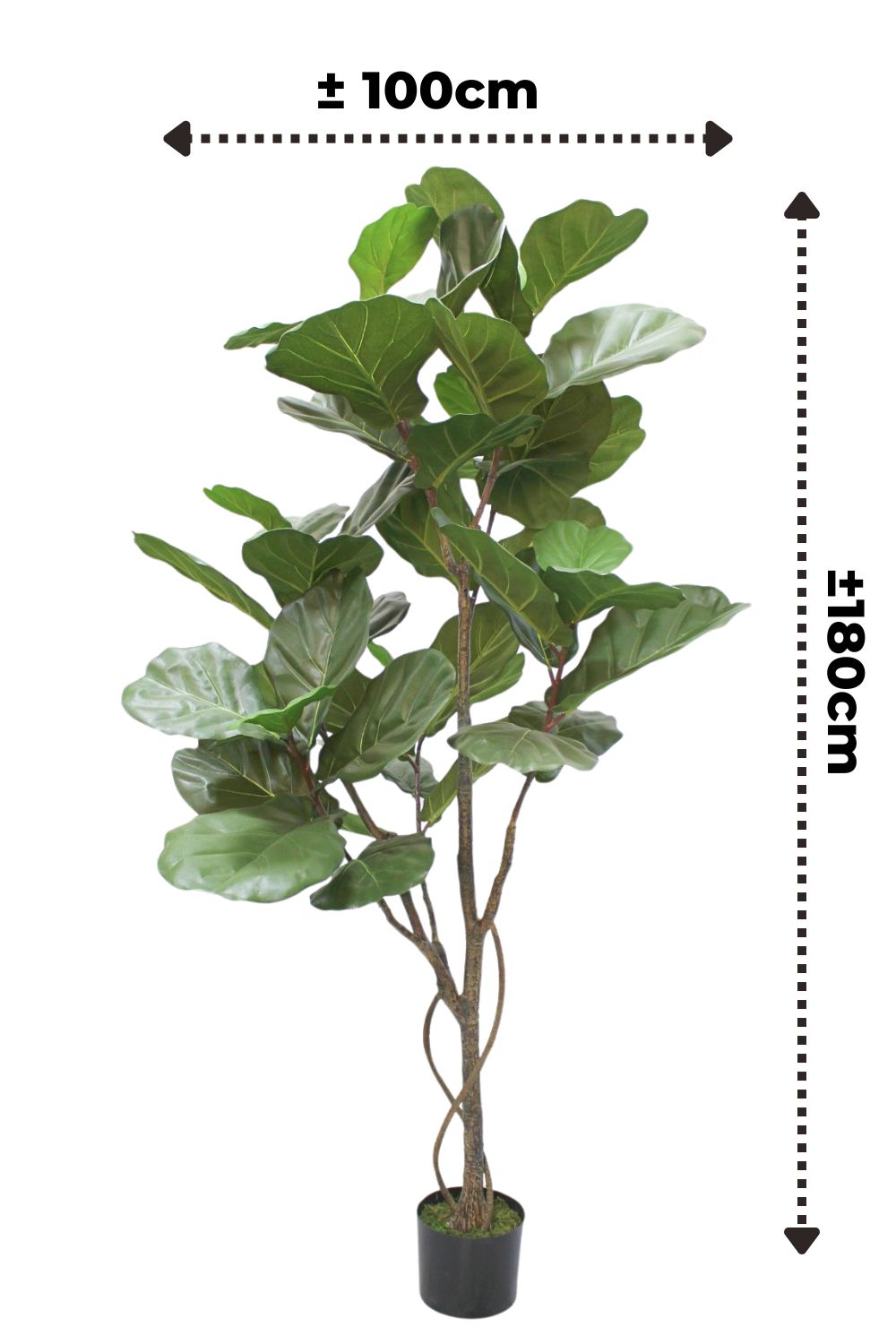 Vorbestellung Ficus Lyrata Kunstpflanze 180cm