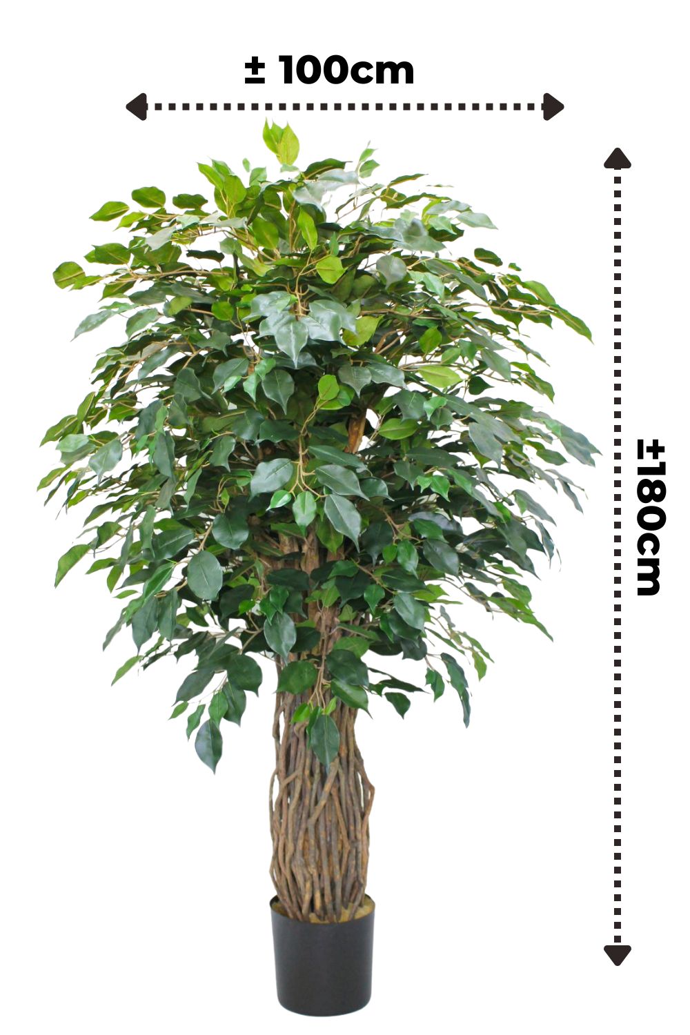 Vorbestellung Ficus Kunstpflanze 180cm