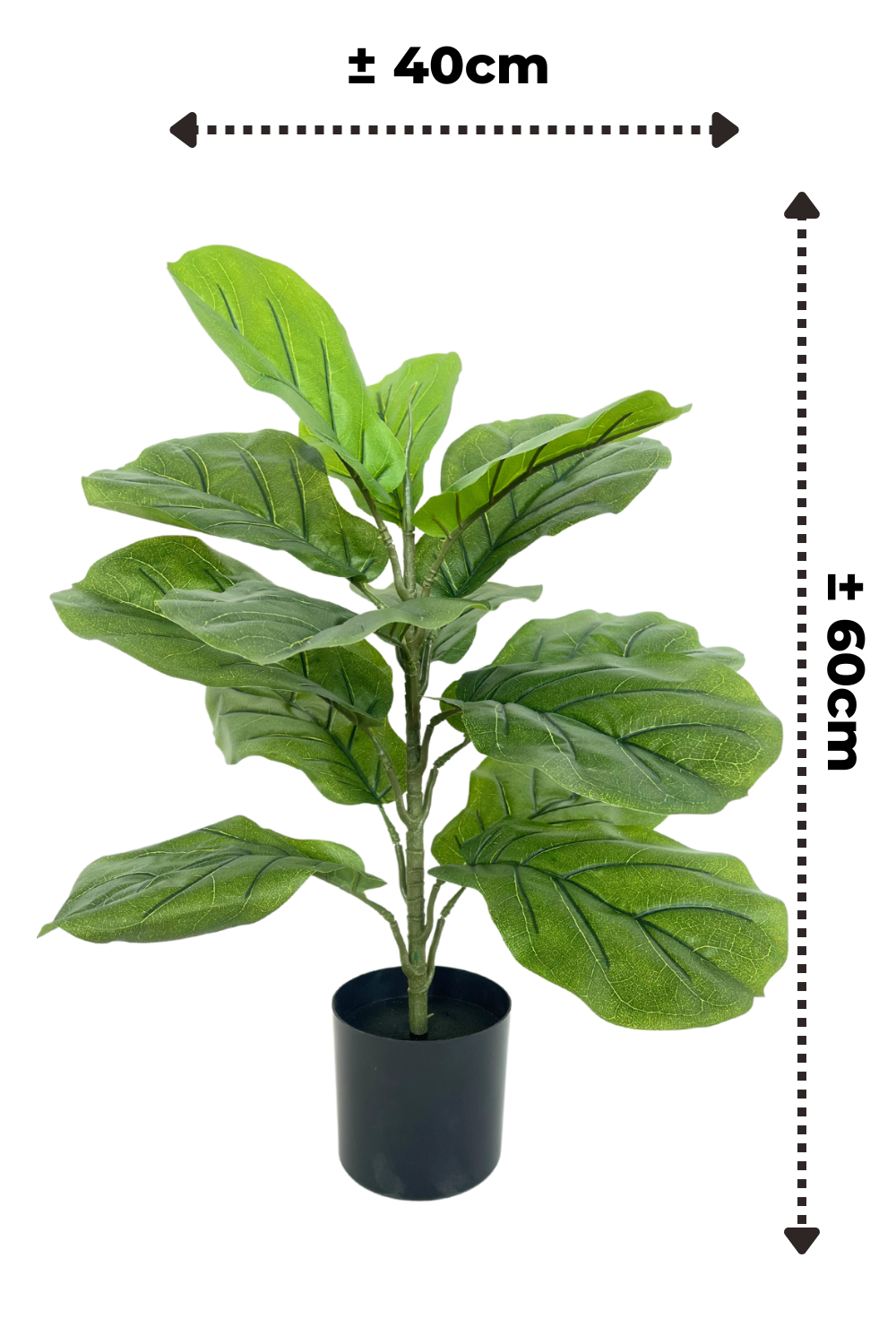 Ficus Kunstpflanze 60cm