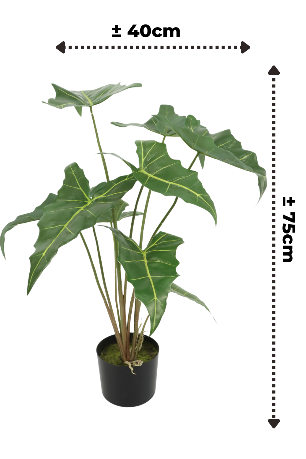 Alocasia Kunstpflanze 75cm