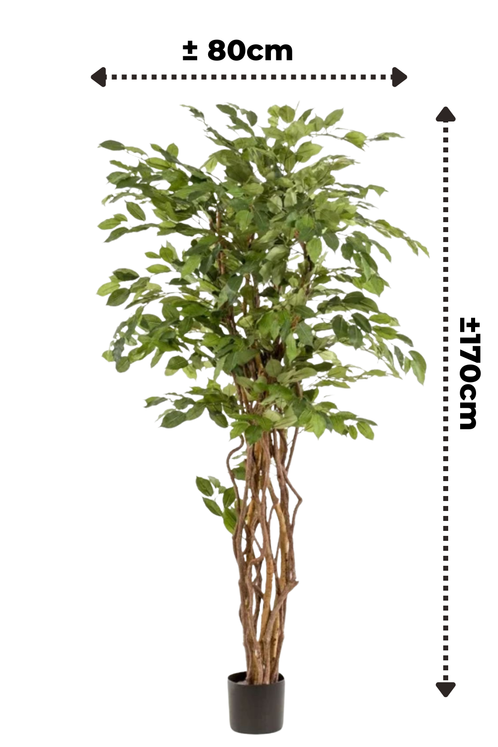 Ficus Liana Kunstbaum 170cm
