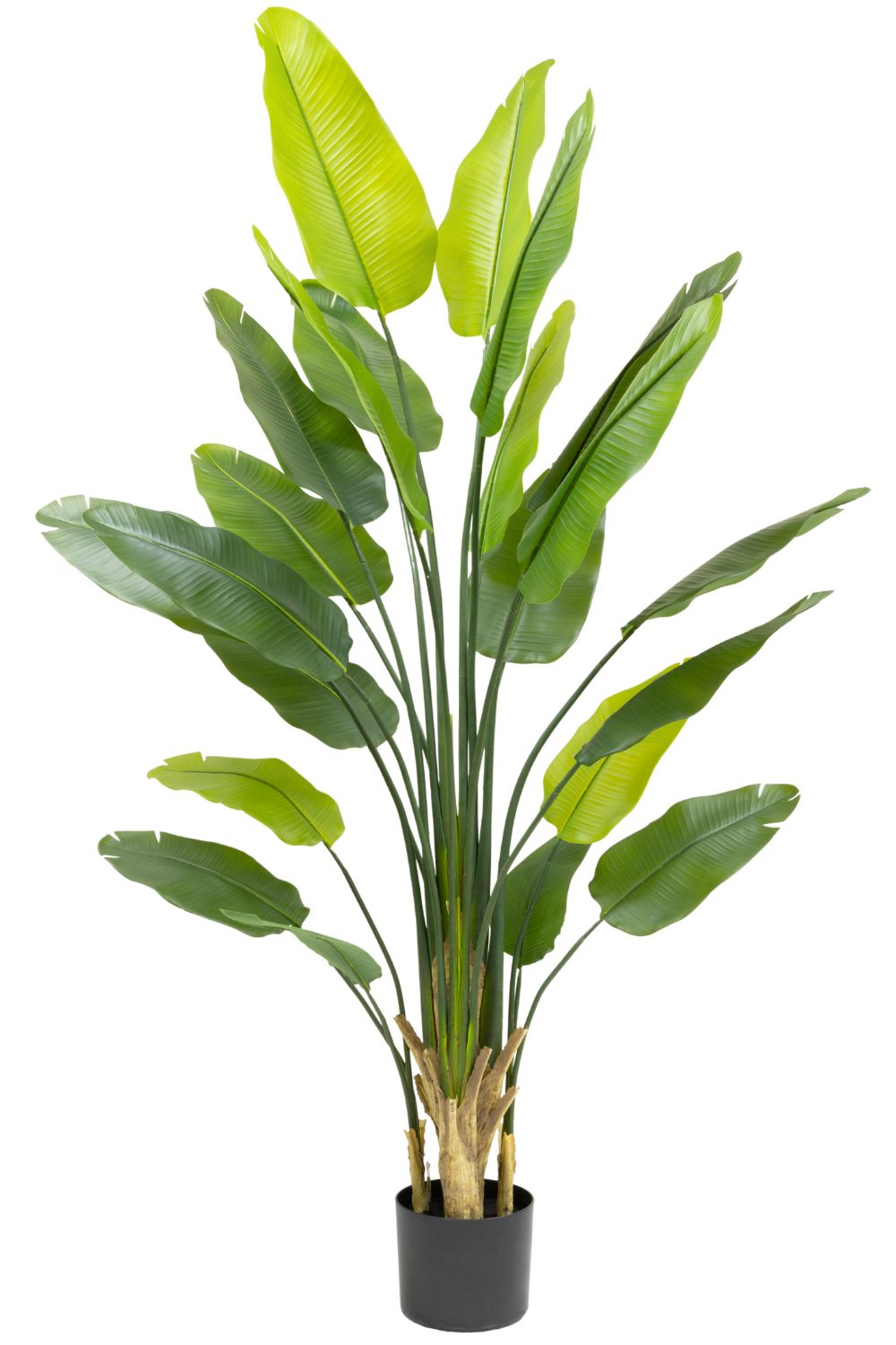 Strelitzie Kunstpflanze 210cm