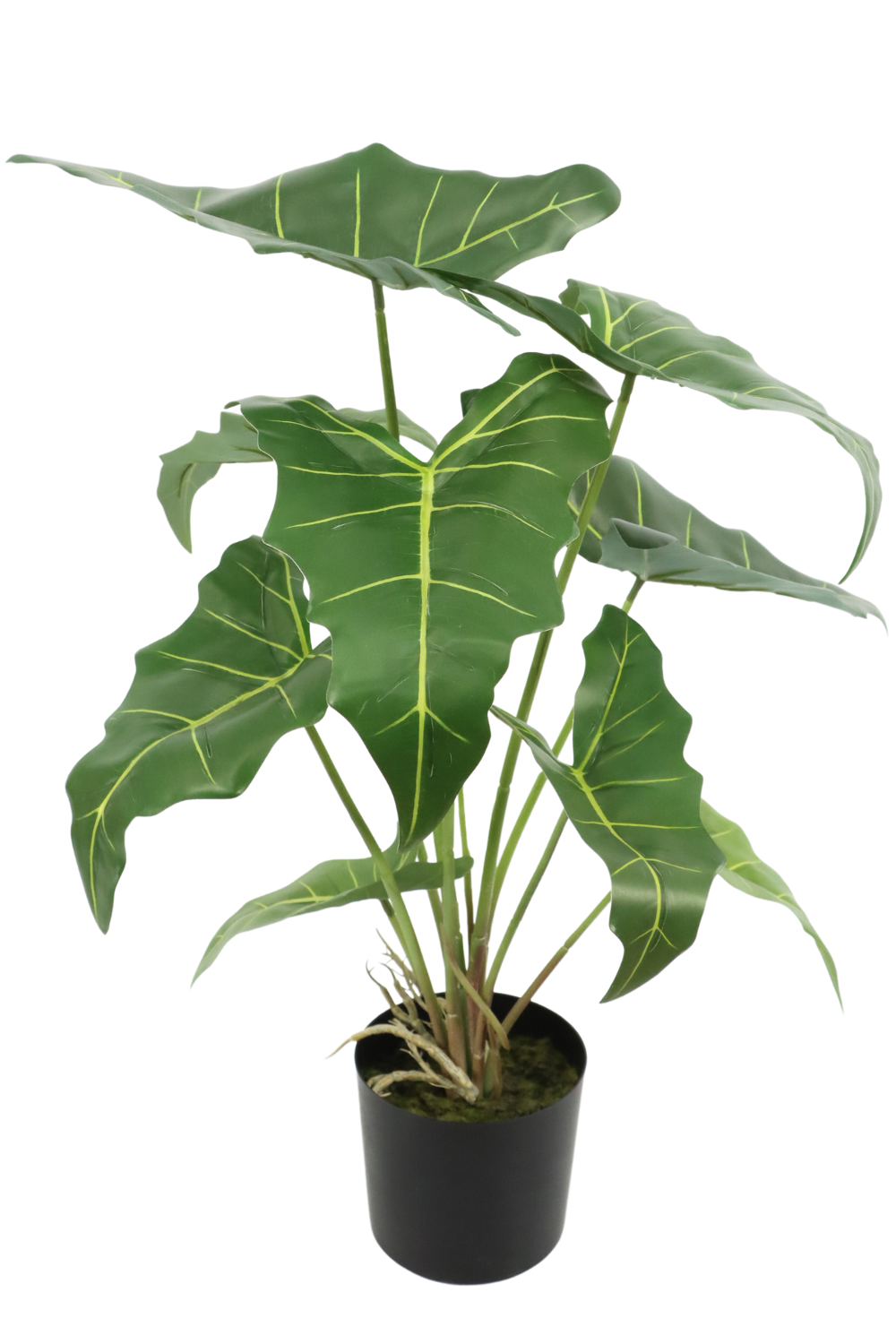 Alocasia Kunstpflanze 60cm