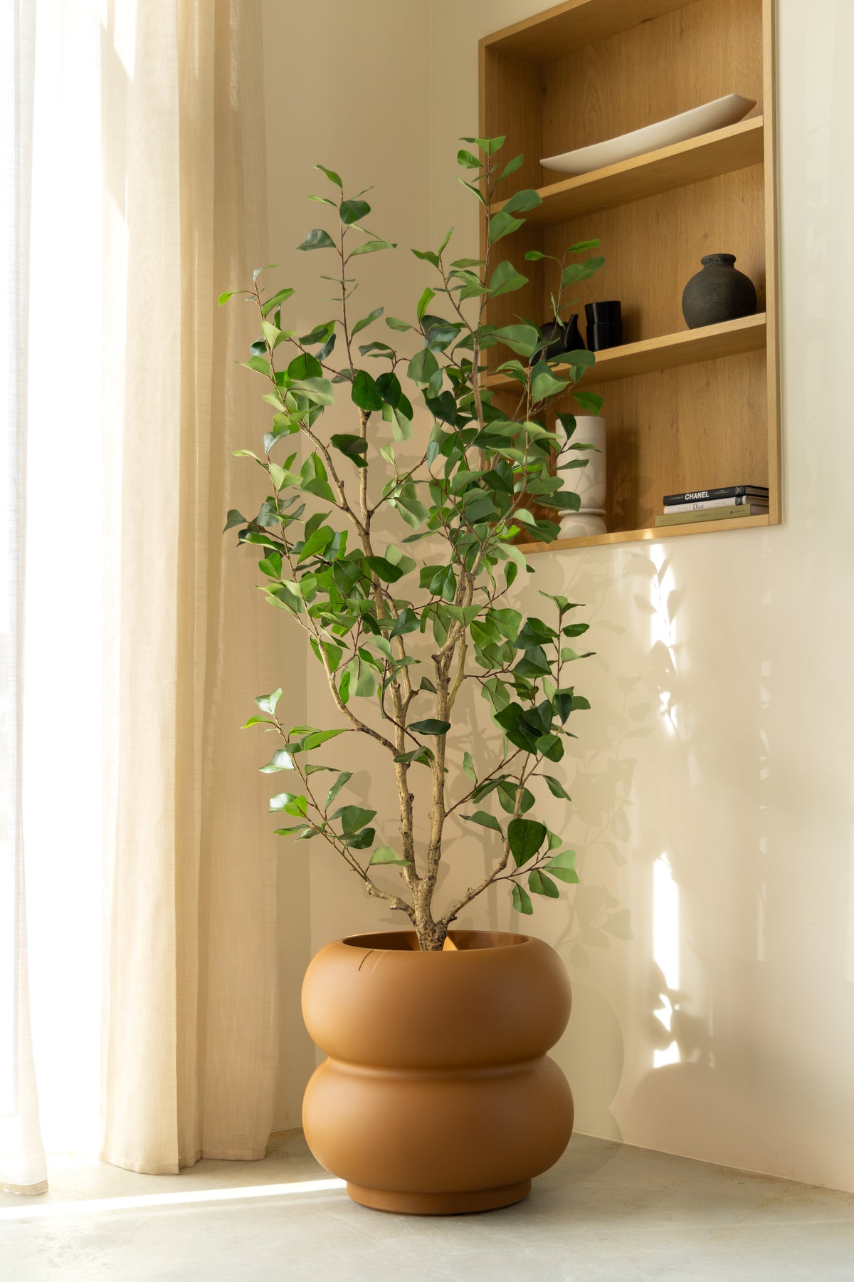 Ficus Triangularis Kunstpflanze 150cm