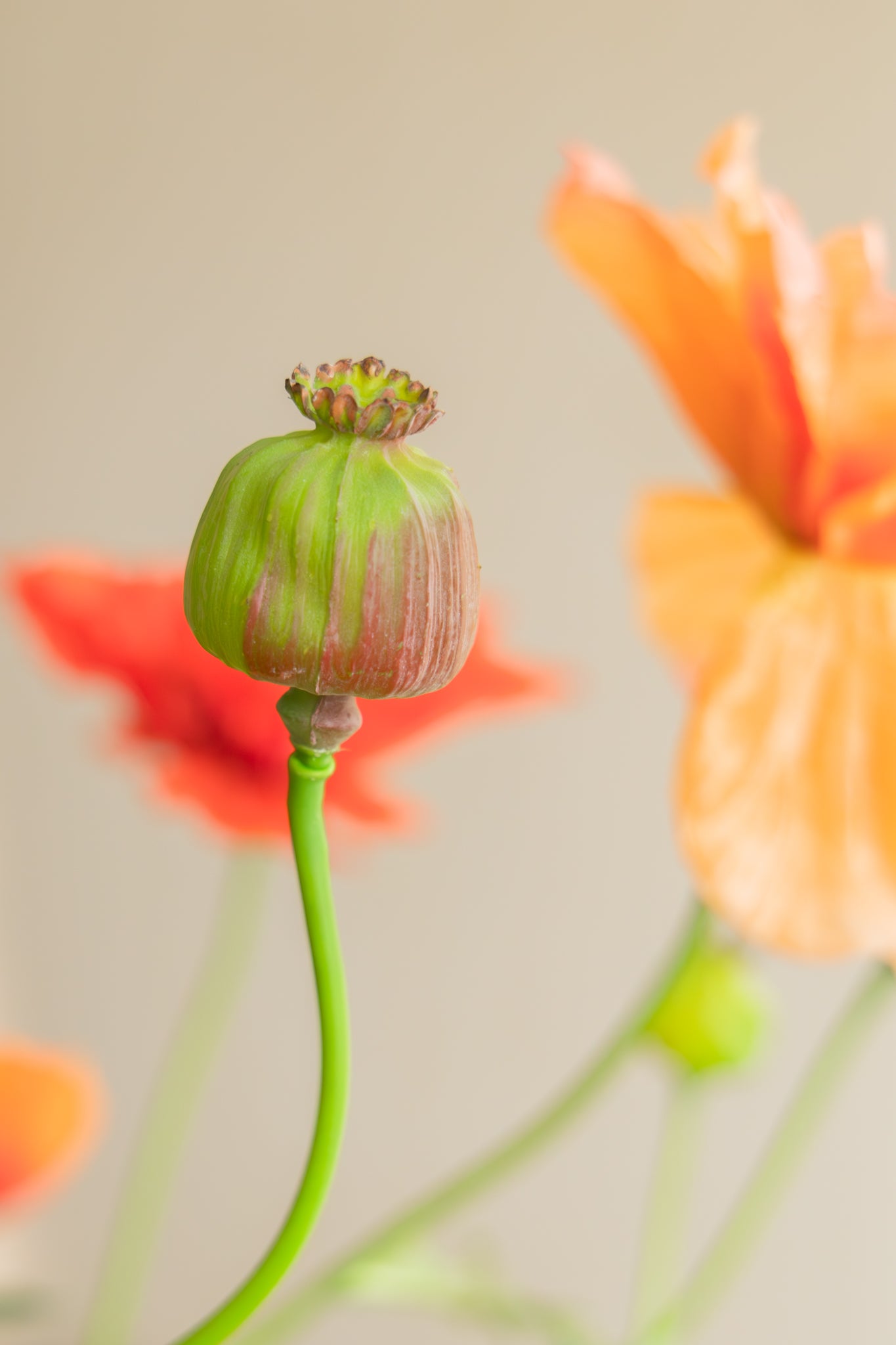 Kunstblumenstrauß Elegant Poppies