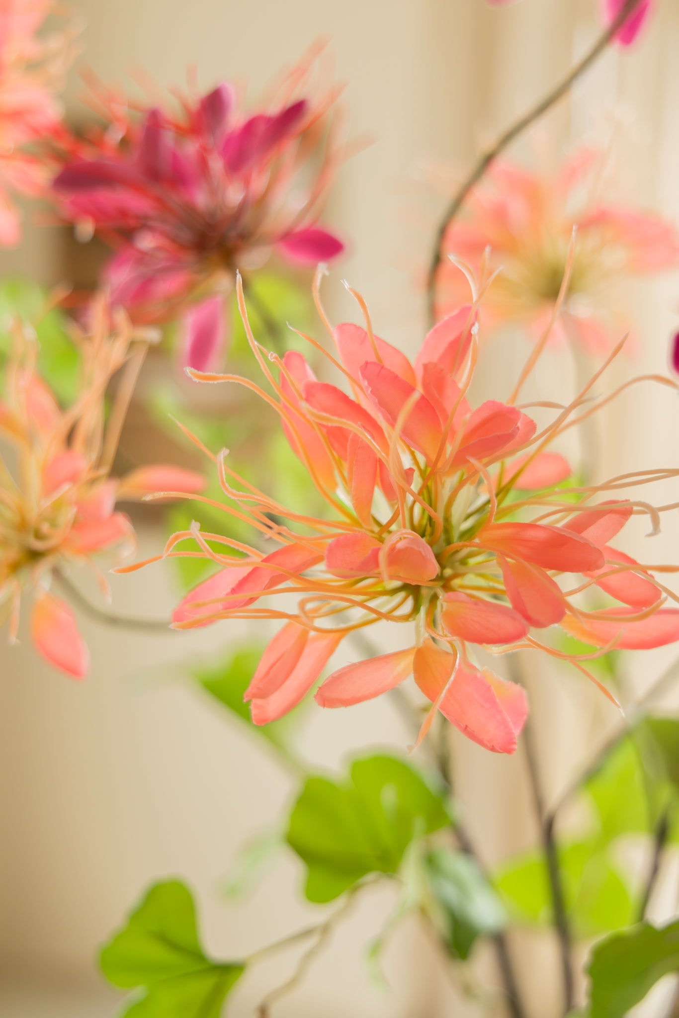 Kunstblumenstrauß Raspberry Sparks
