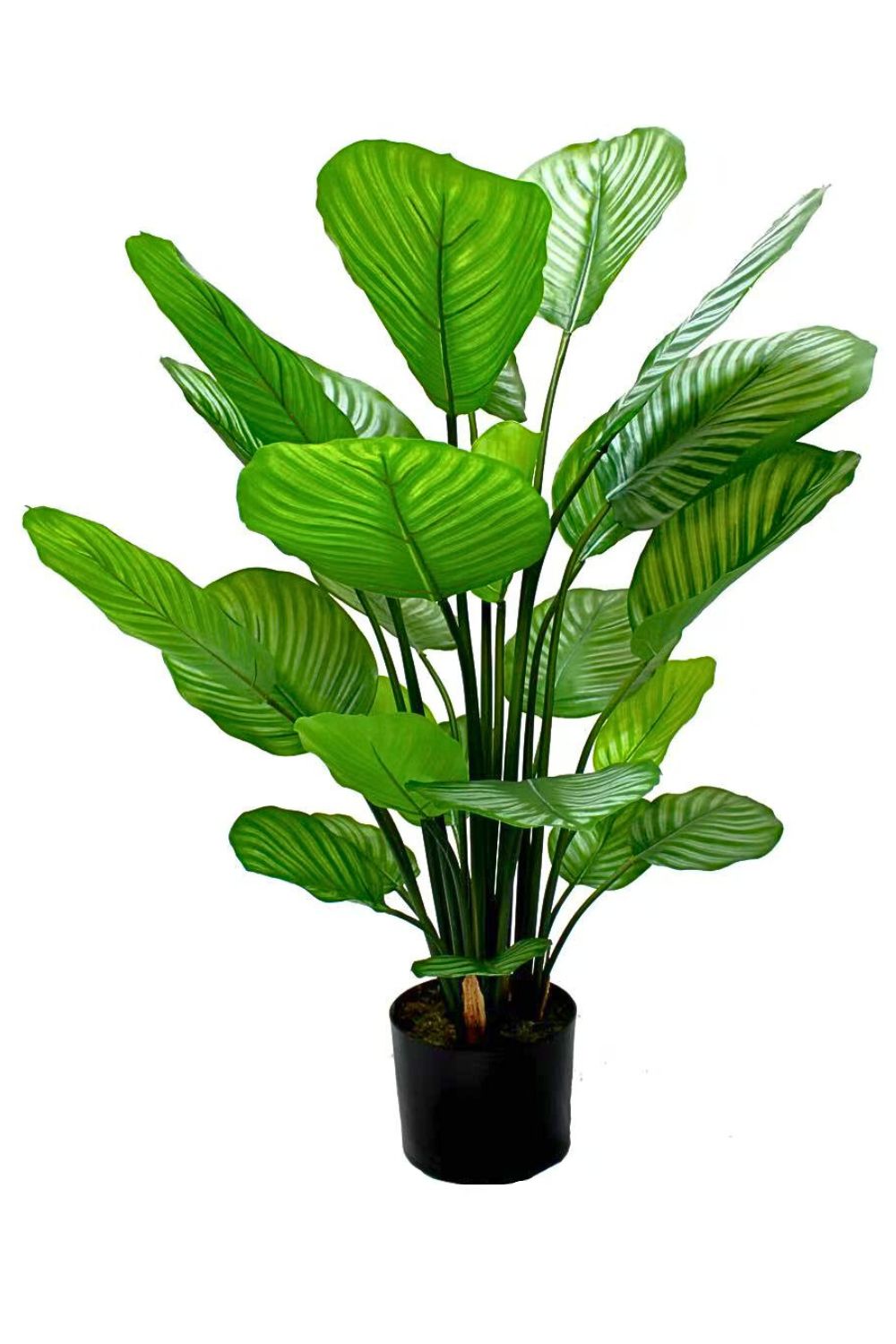 Calathea Kunstpflanze 80cm