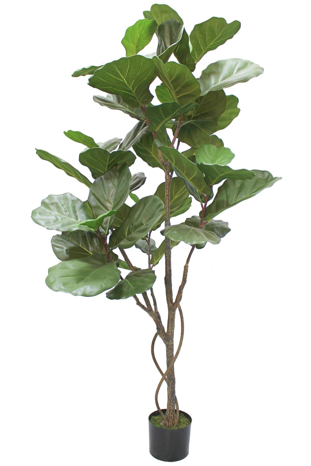 Vorbestellung Ficus Lyrata Kunstpflanze 180cm