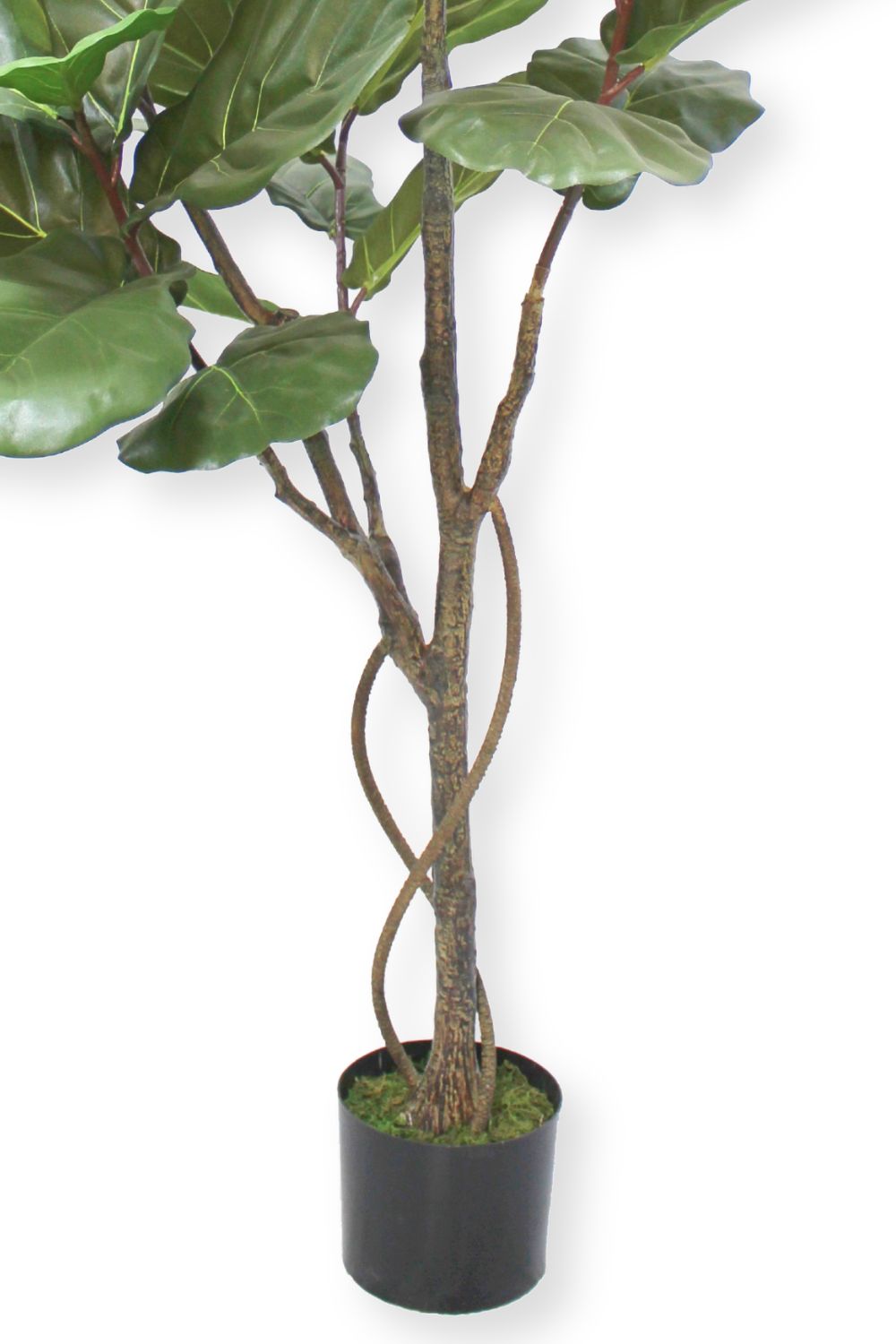 Vorbestellung Ficus Lyrata Kunstpflanze 180cm