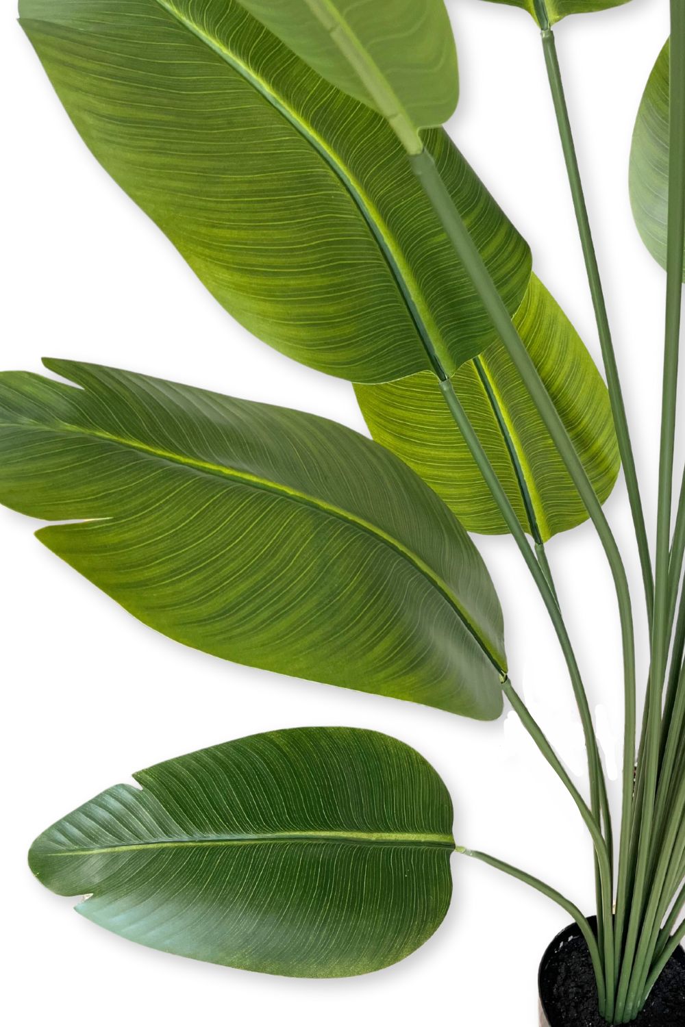 Bananenstaude Kunstpflanze 210cm