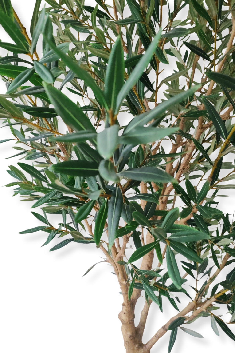 Künstlicher Olivenbaum 240cm