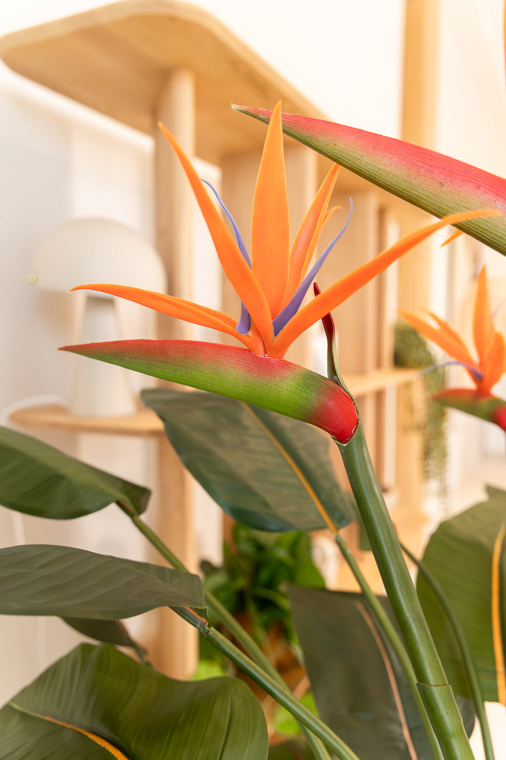 Strelitzie Kunstpflanze mit Blume 120cm