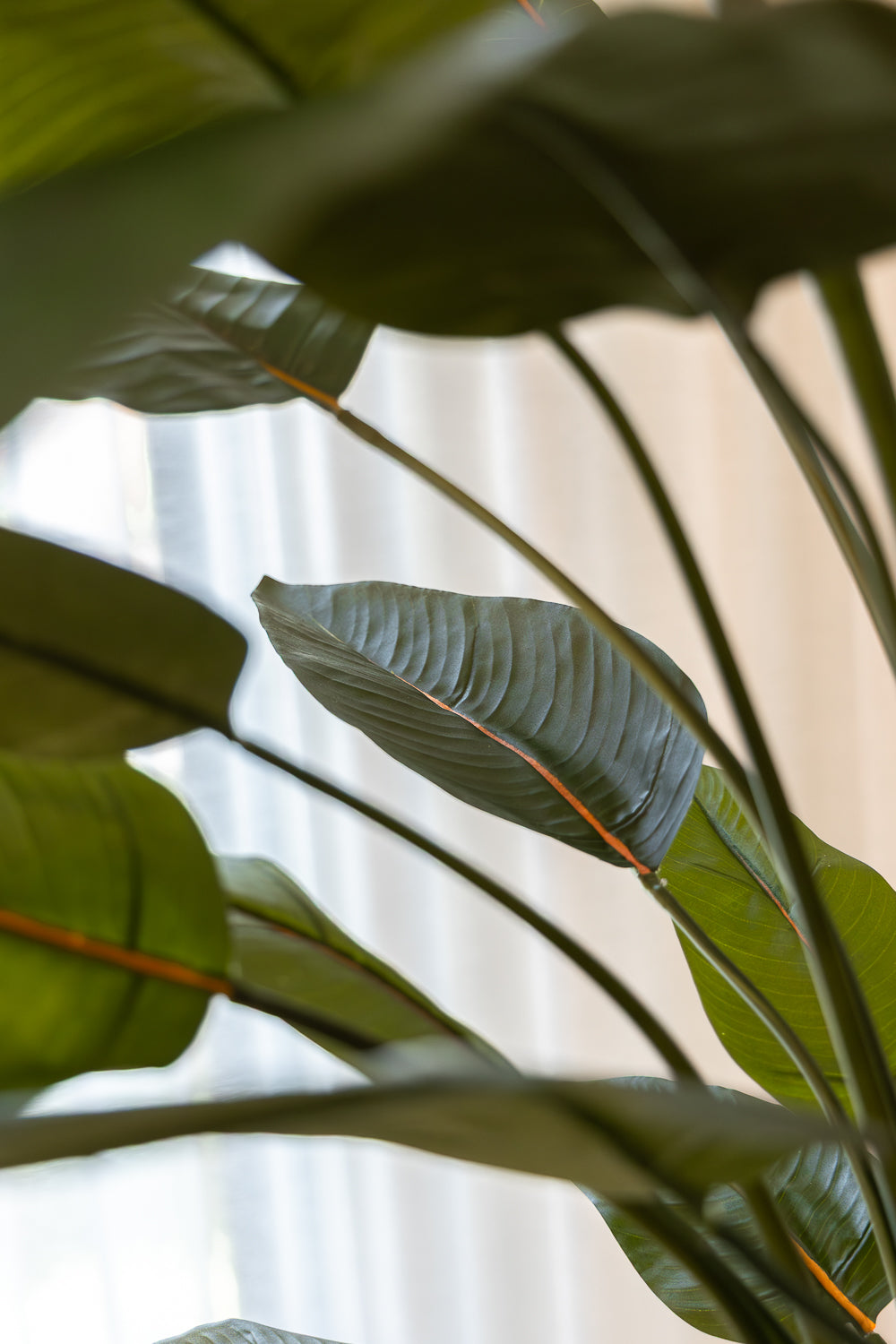 Strelitzie Kunstpflanze mit Blume 120cm