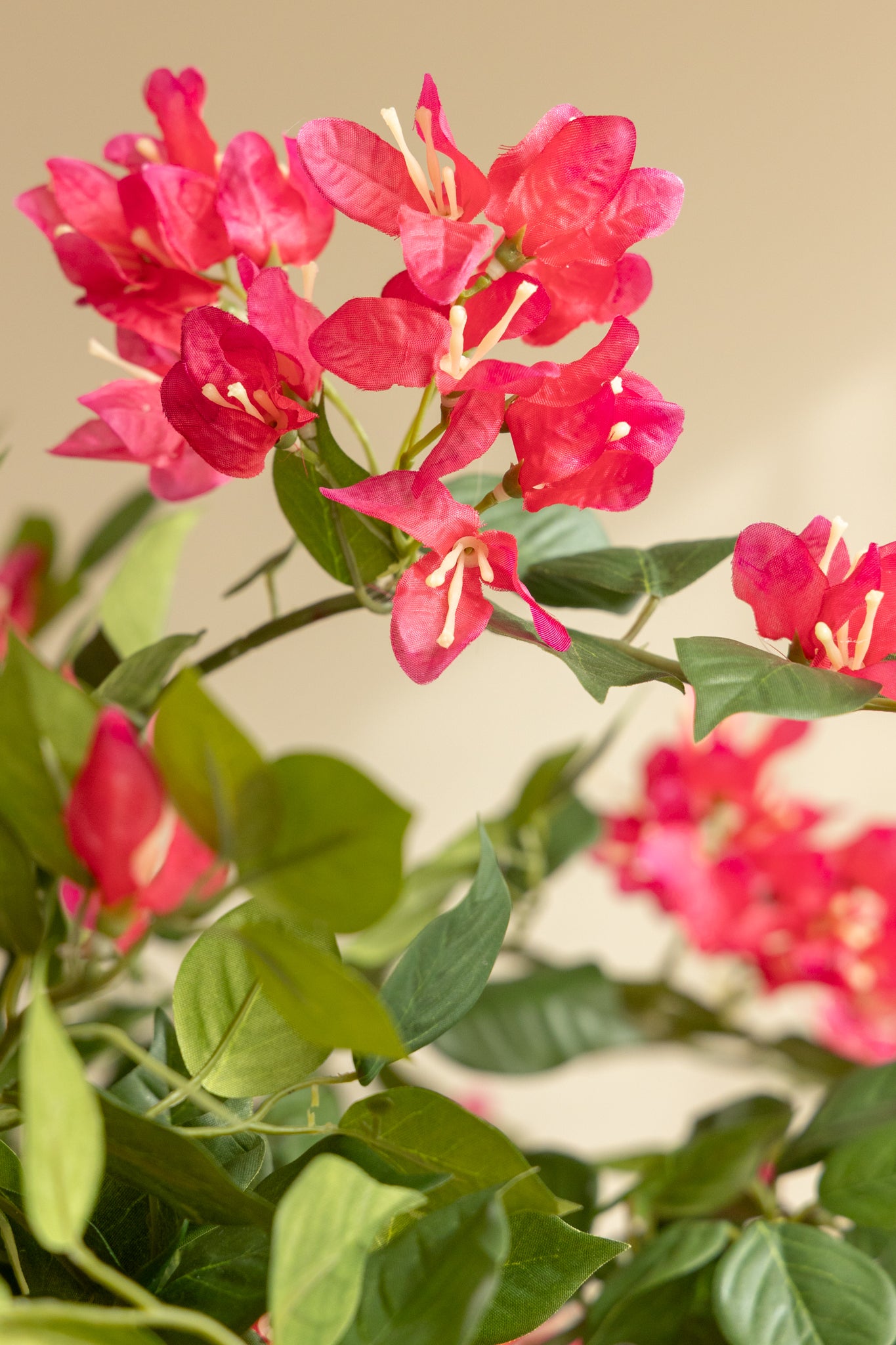 bougainvillea kunstpflanze Bougainvillea Kunstpflanze 180 cm günstig online kaufen