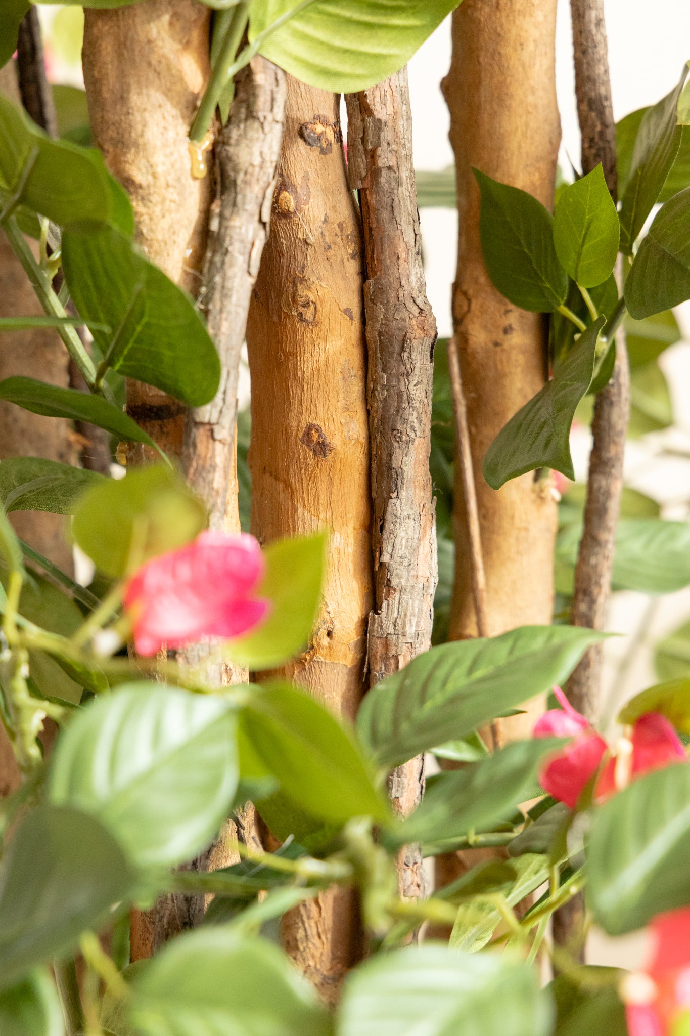 bougainvillea kunstpflanze Bougainvillea Kunstpflanze 180 cm günstig online kaufen