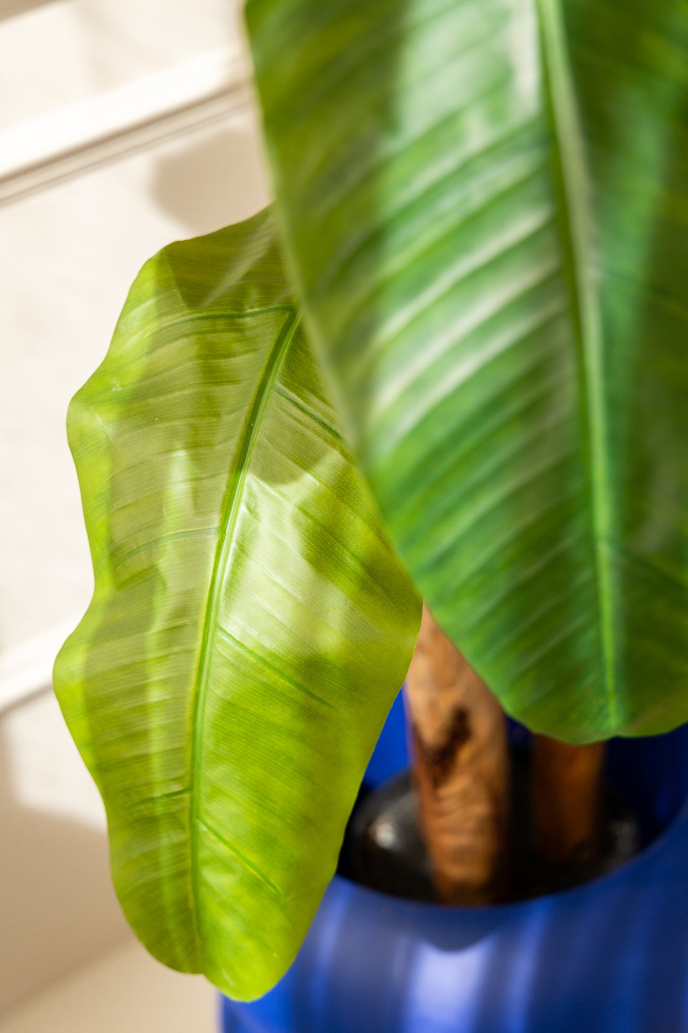 künstliche bananenstaude Kunstpflanze Bananenstaude 150cm günstig online kaufen