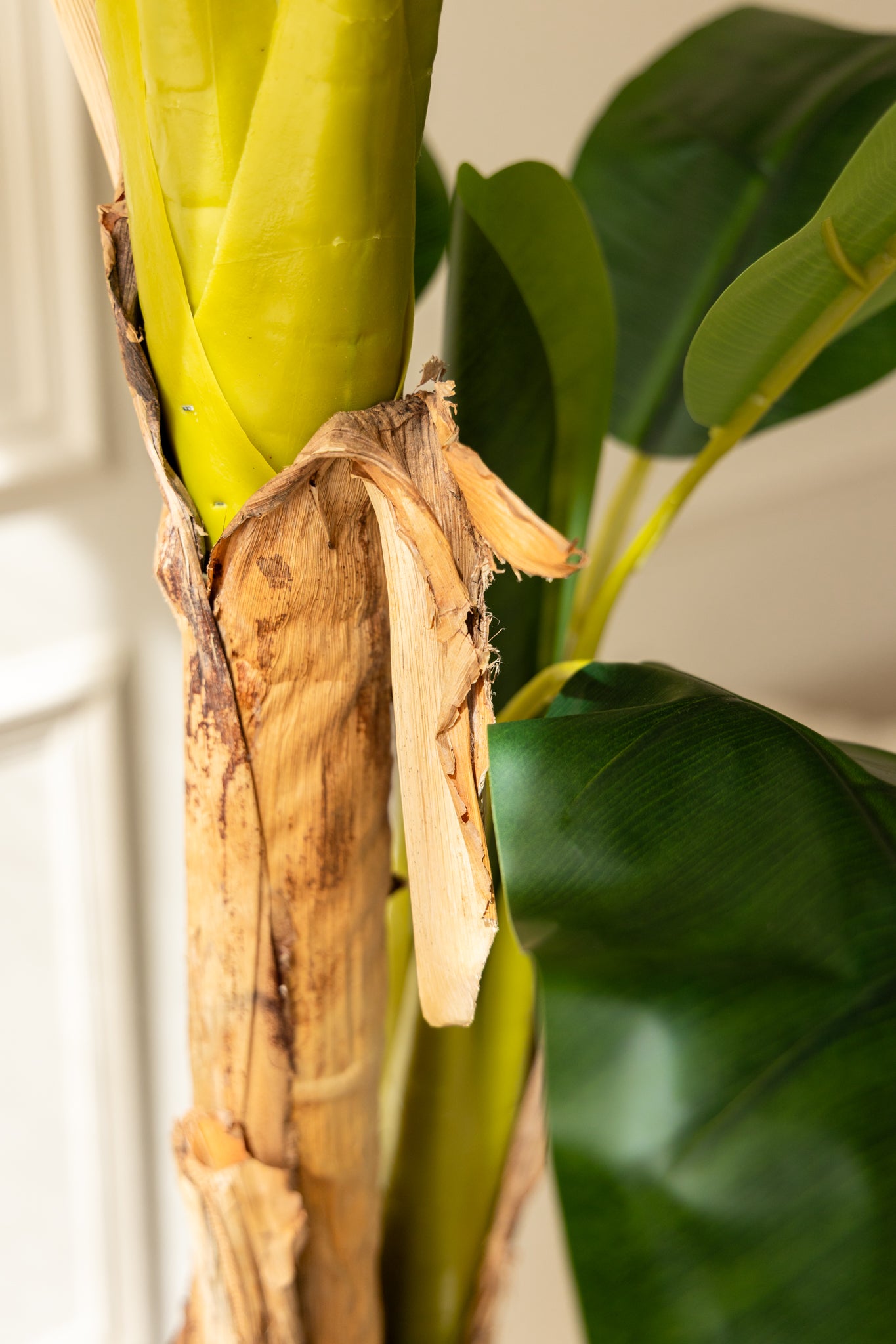 Kunstpflanze Bananenstaude 150cm günstig online kaufen