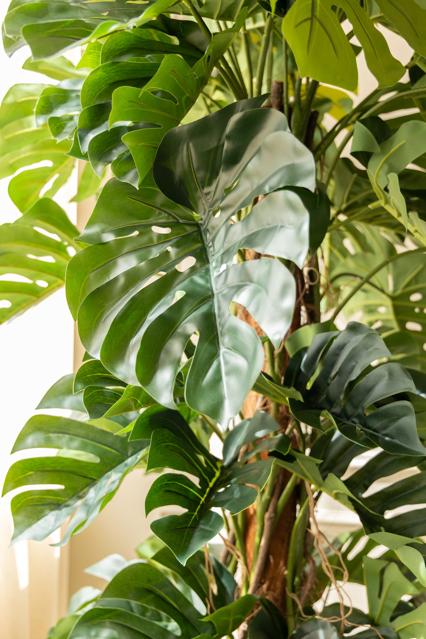 Monstera Kunstpflanze 180cm günstig online kaufen