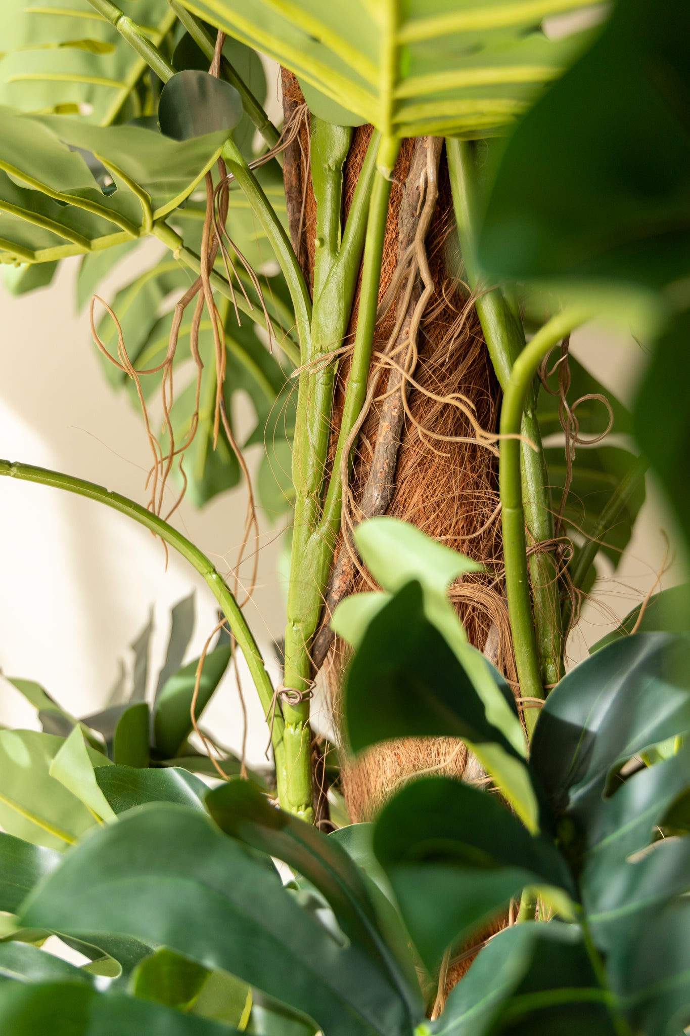 monstera 180 cm Monstera Kunstpflanze 180cm günstig online kaufen