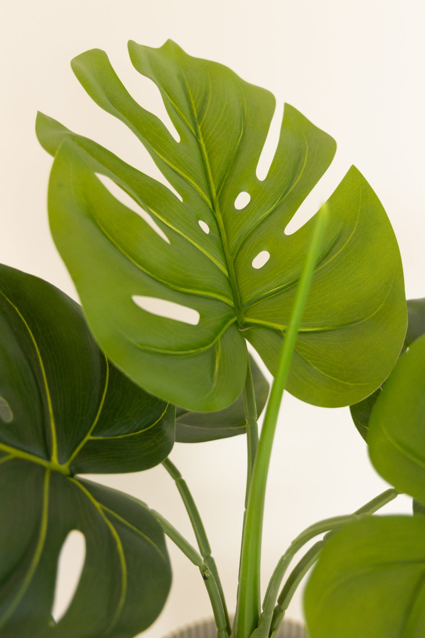 kunstblume monstera Monstera Kunstpflanze 60cm schnell günstig online kaufen