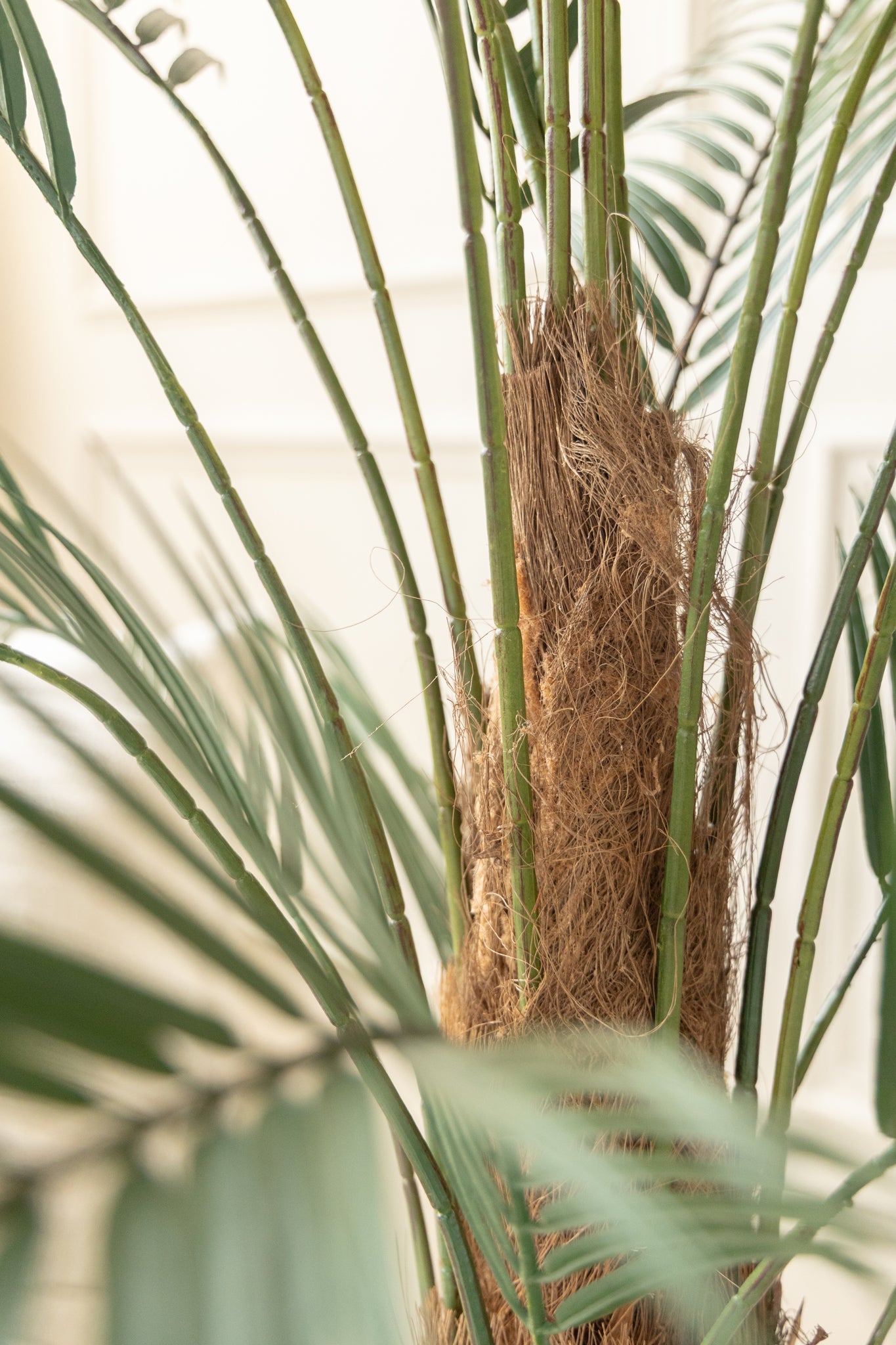 kunstpflanze groß 150 cm Palme Kunstpflanze 150cm schnell günstig online kaufen