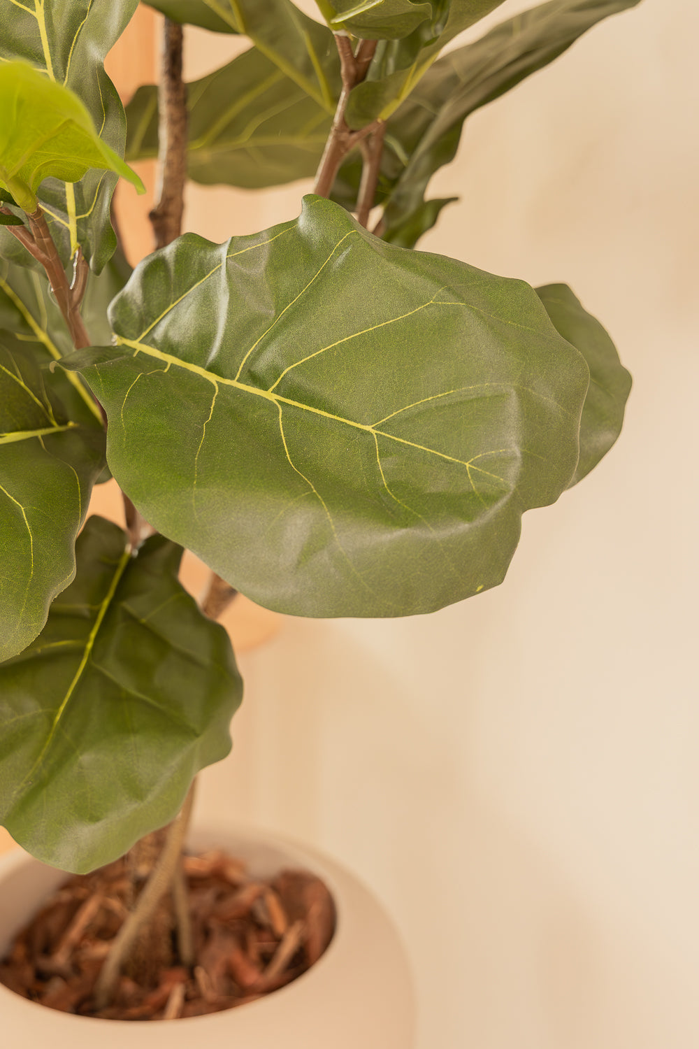 Vorbestellung Ficus Lyrata Kunstpflanze 180cm (feb '26)