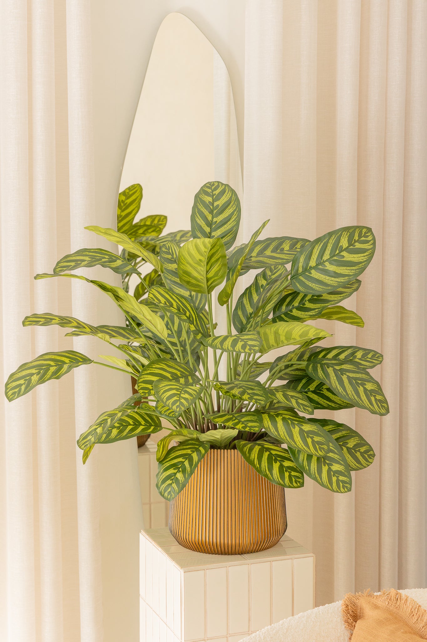 Calathea Kunstpflanze 75cm