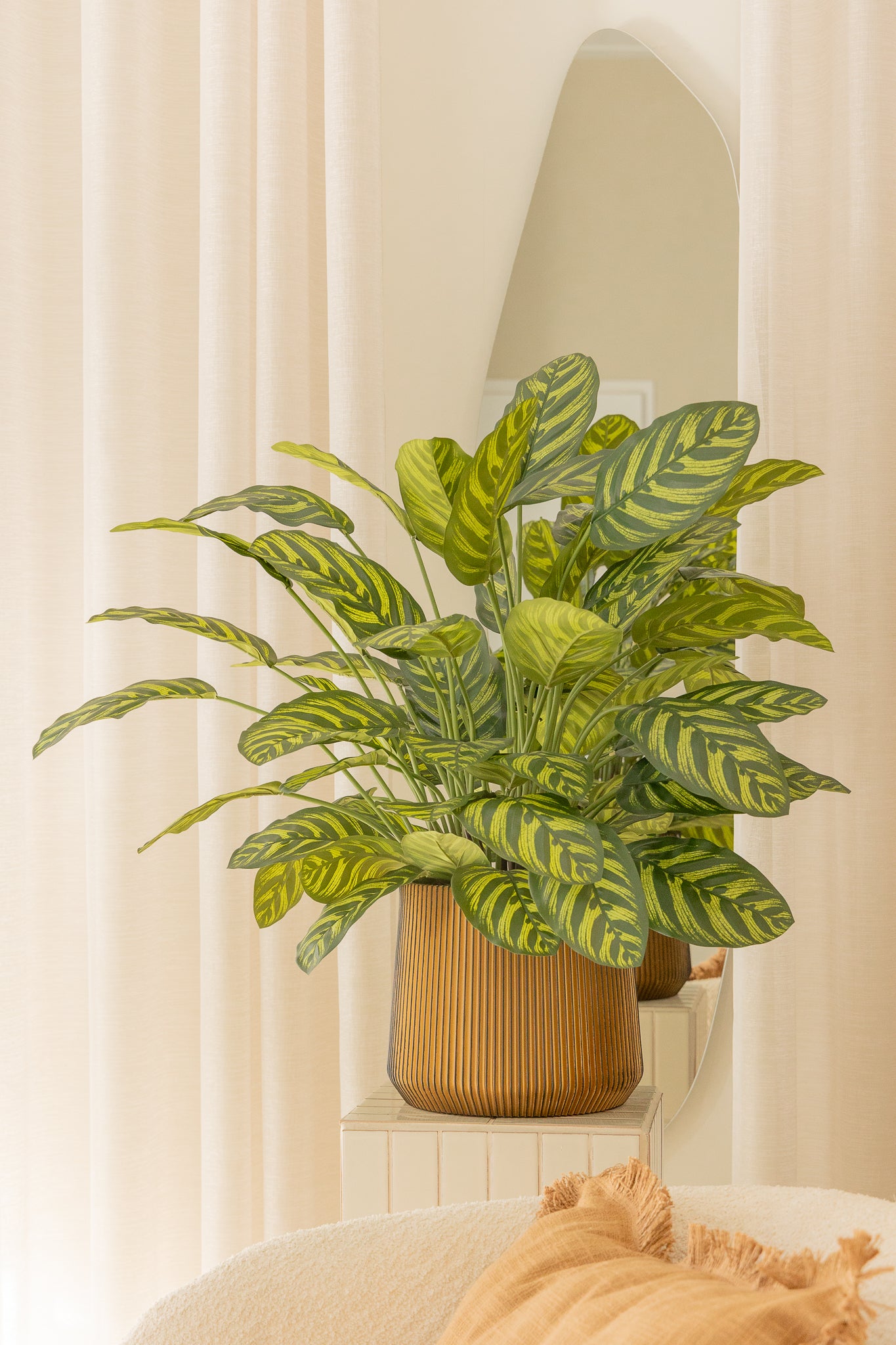 Calathea Kunstpflanze 75cm