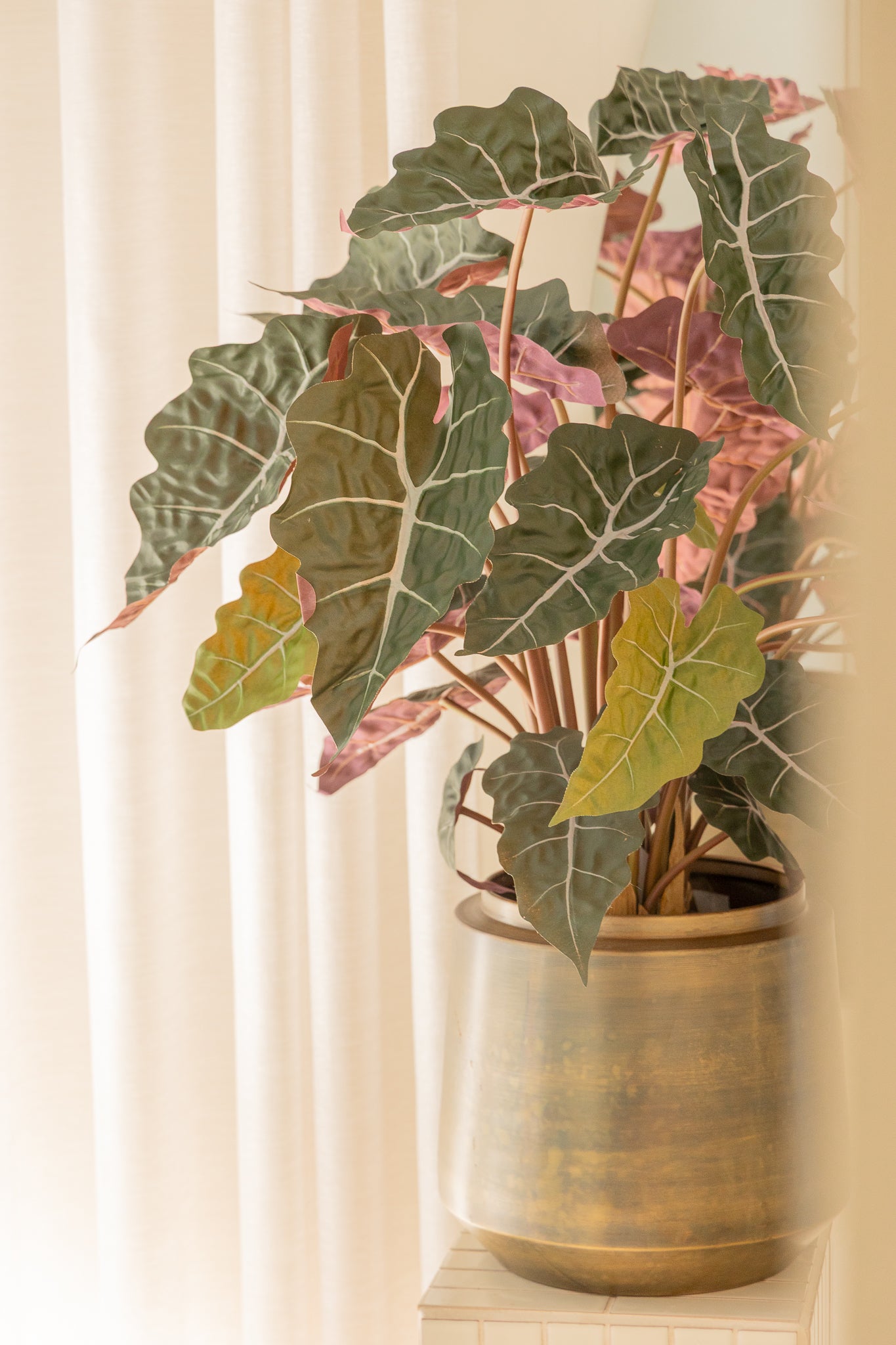 Alocasia Kunstpflanze 80cm