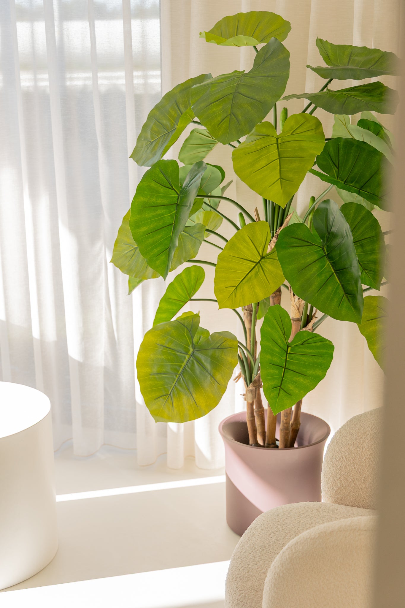 Alocasia Kunstpflanze 165cm