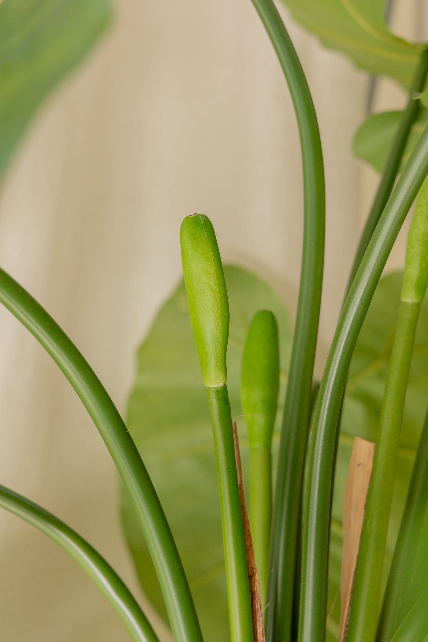 Alocasia Kunstpflanze 165cm