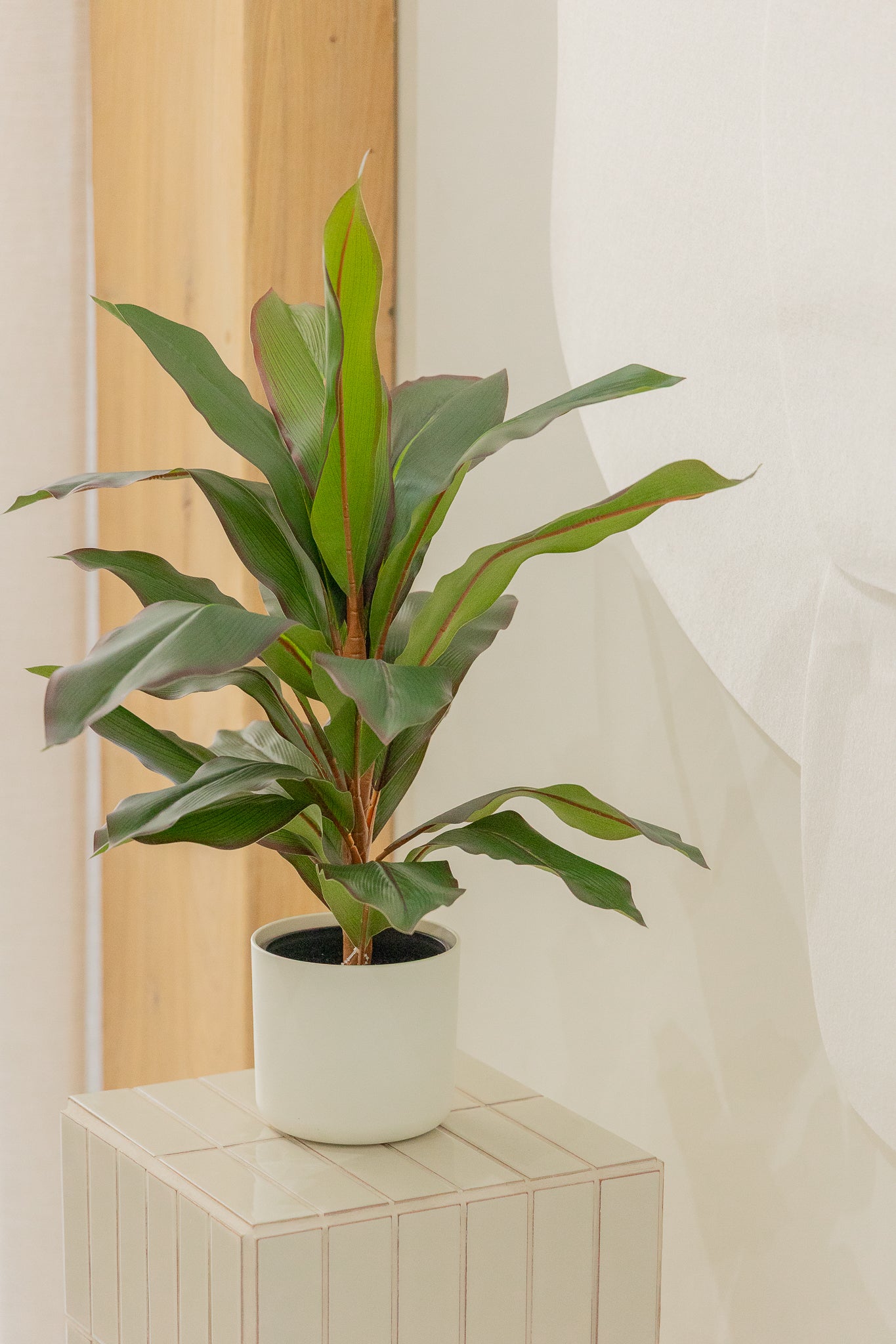 Dracaena Kunstpflanze 60cm