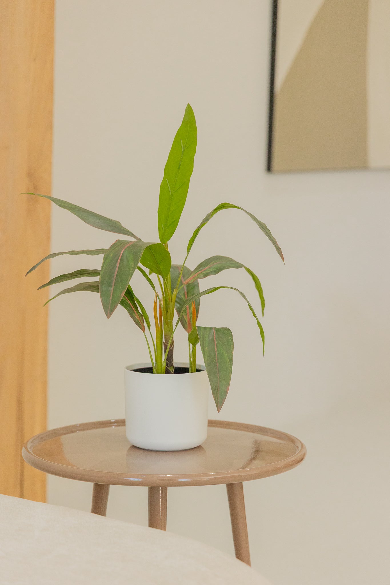 Cordyline Kunstpflanze 50cm