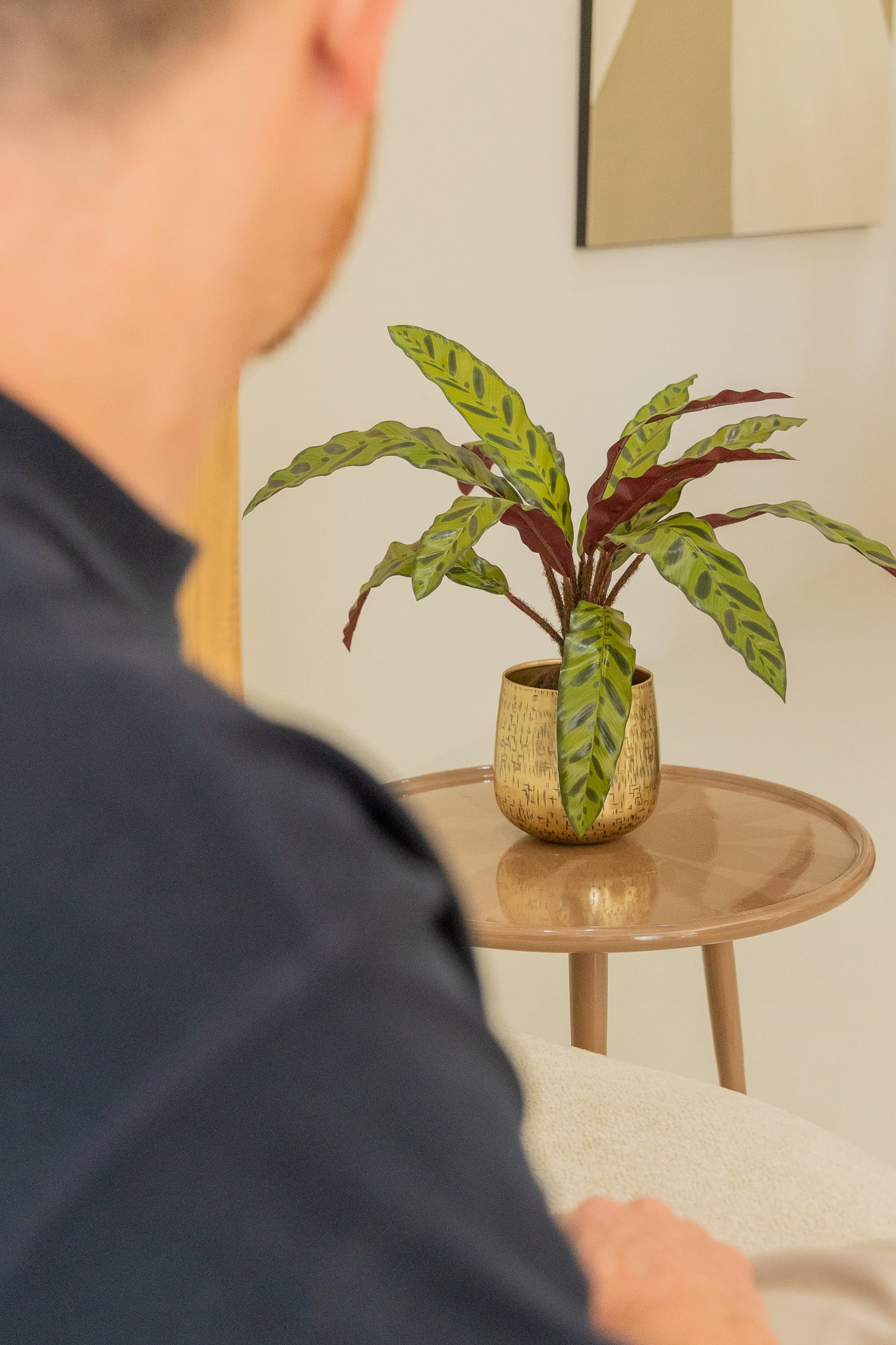 Calathea Kunstpflanze 45cm