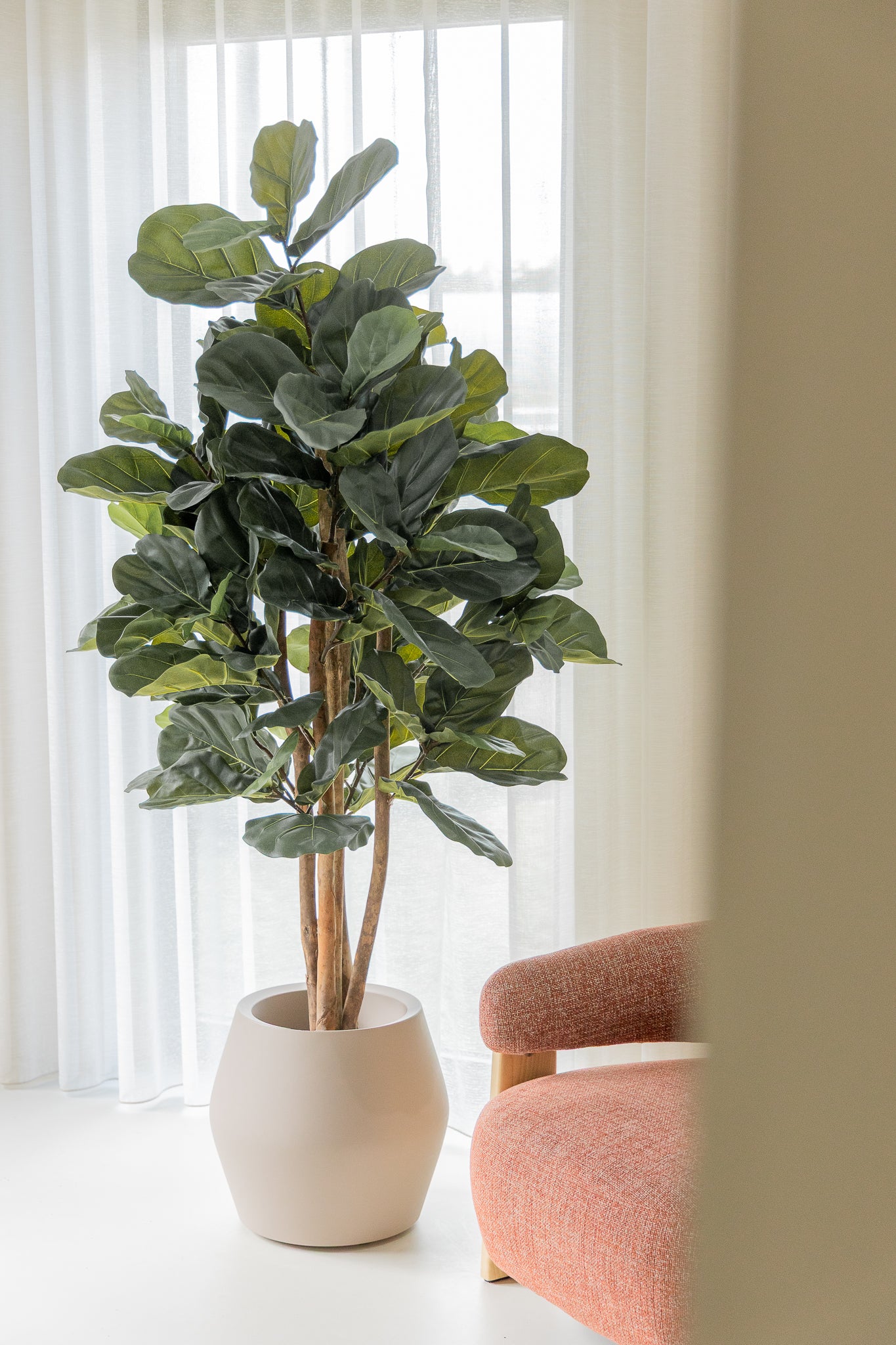 Ficus Kunstpflanze 180cm