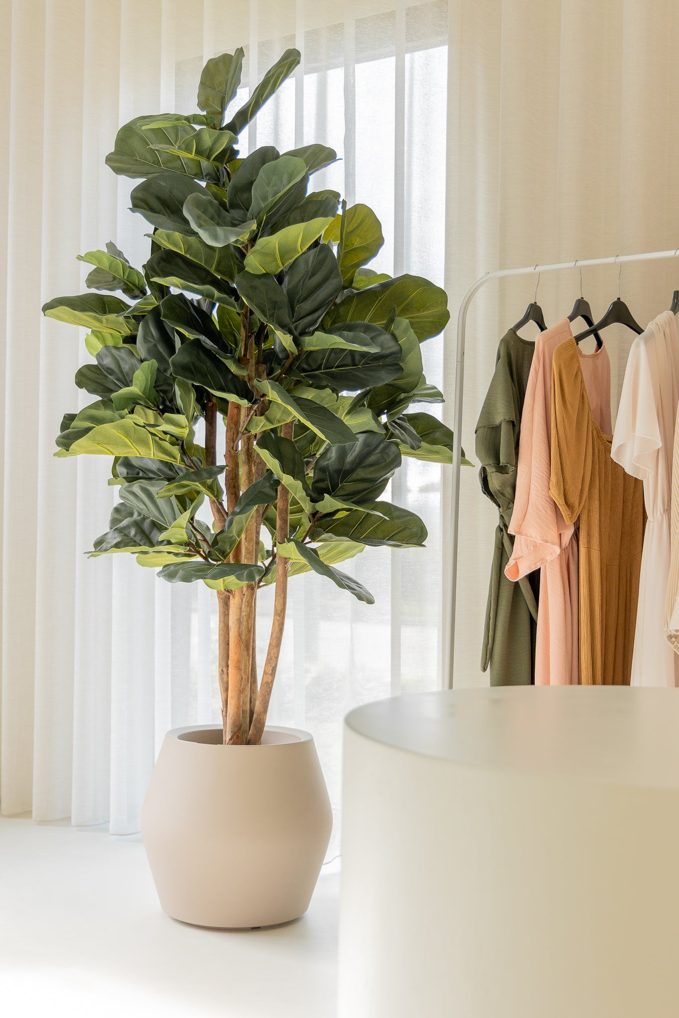 Ficus Kunstpflanze 180cm