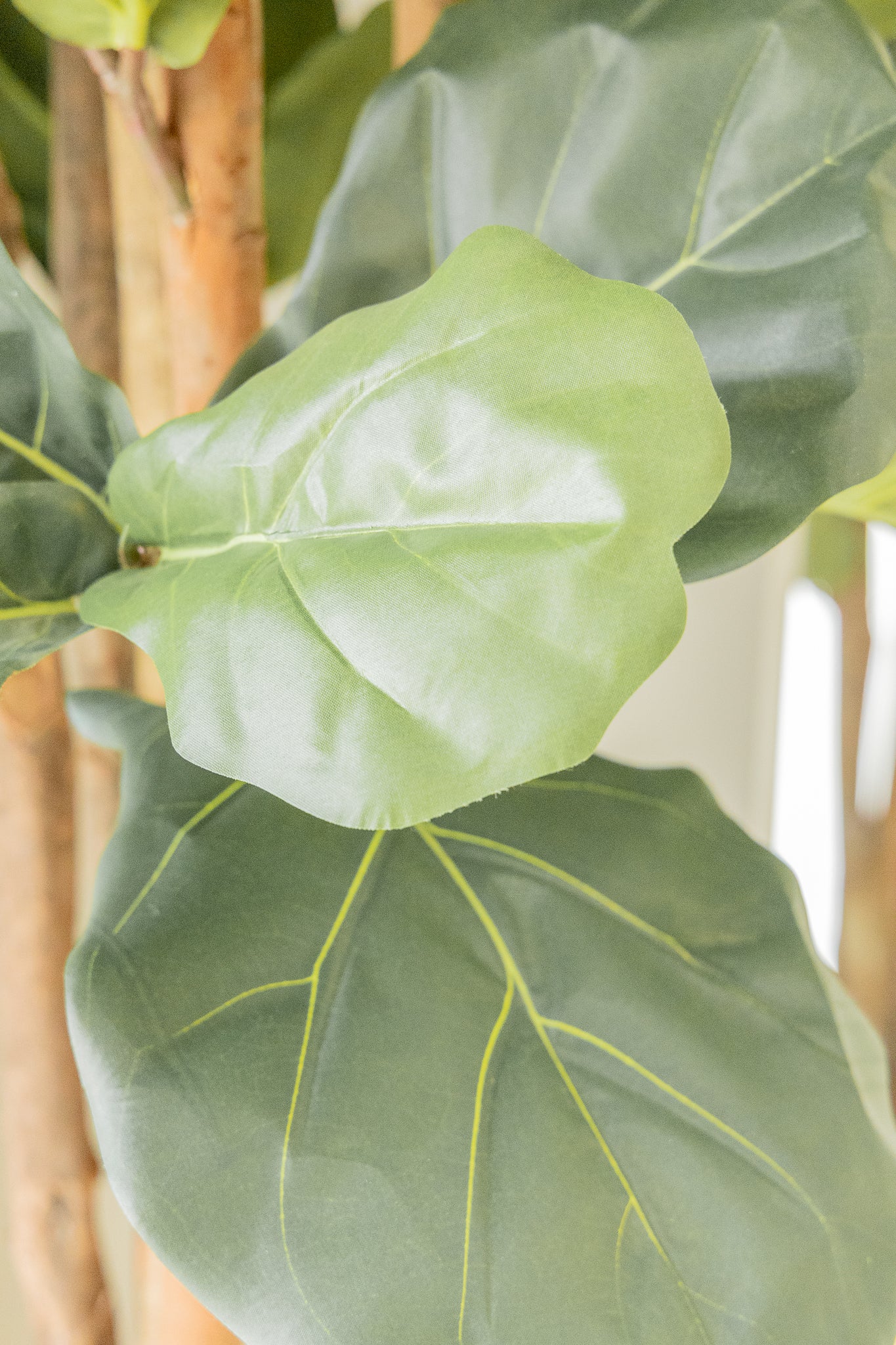 Ficus Kunstpflanze 180cm