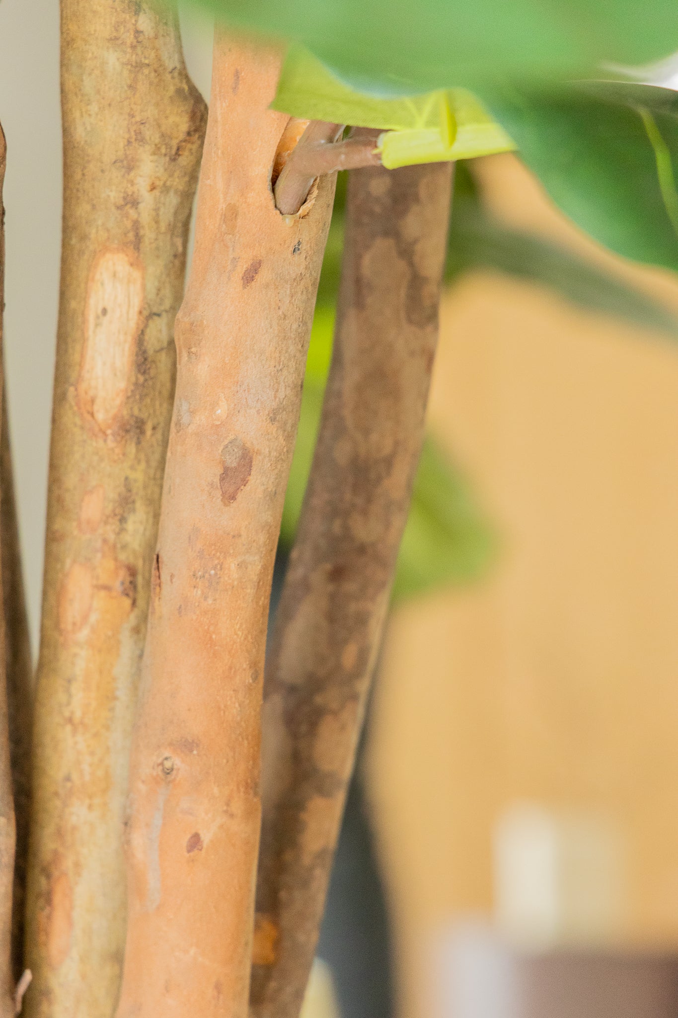 Ficus Kunstpflanze 180cm