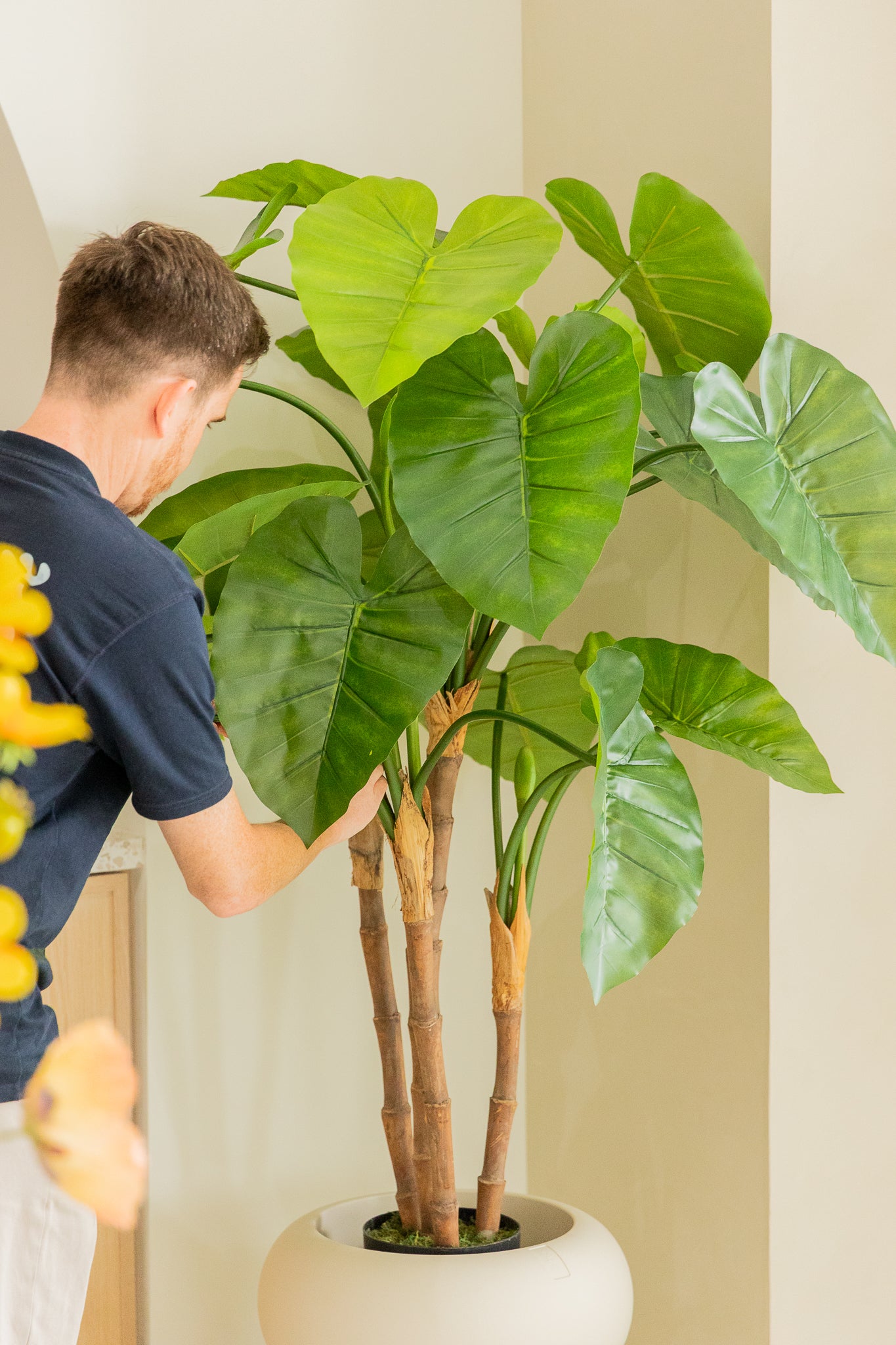 Alocasia Kunstpflanze 140cm