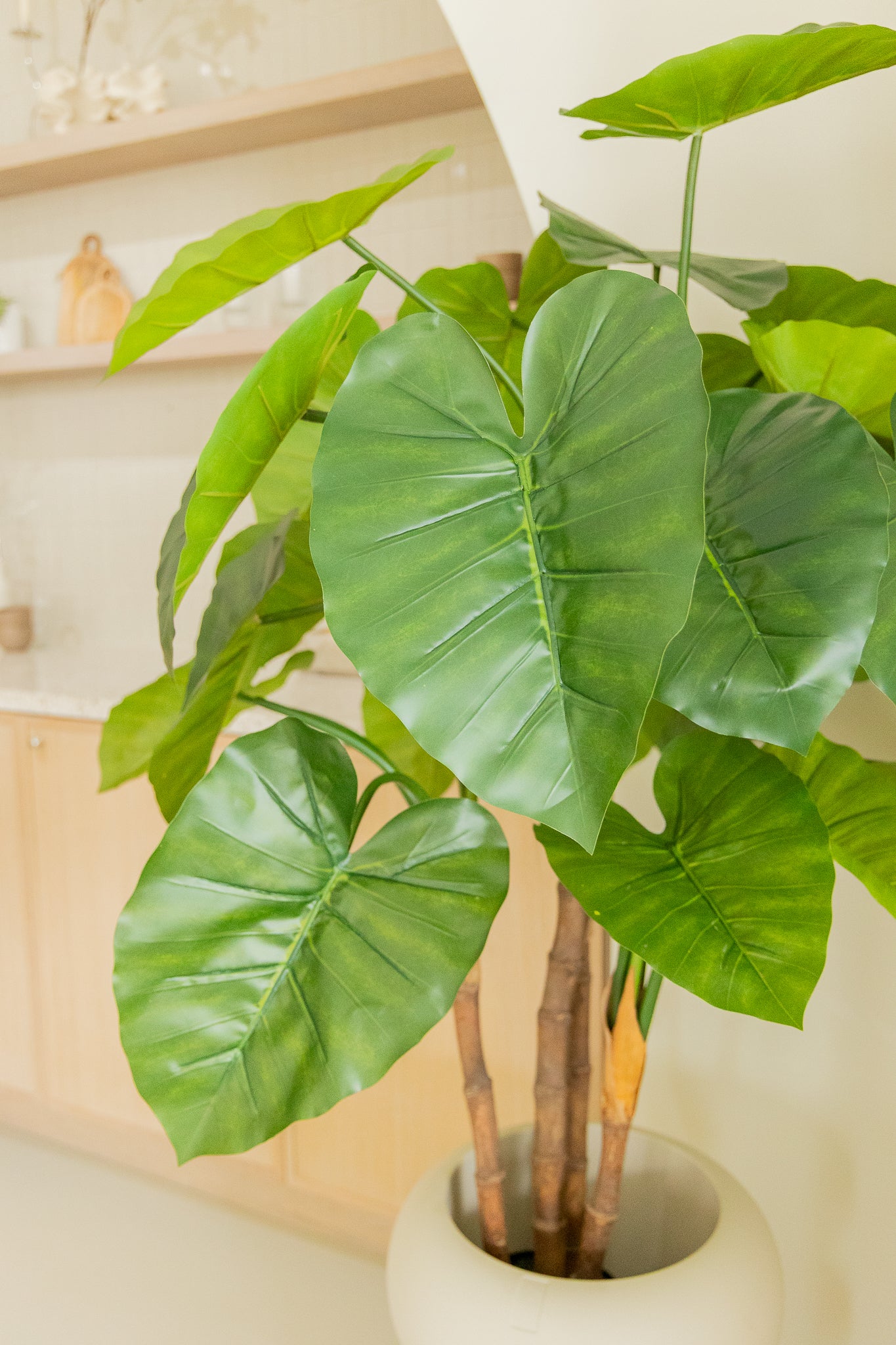 Alocasia Kunstpflanze 140cm