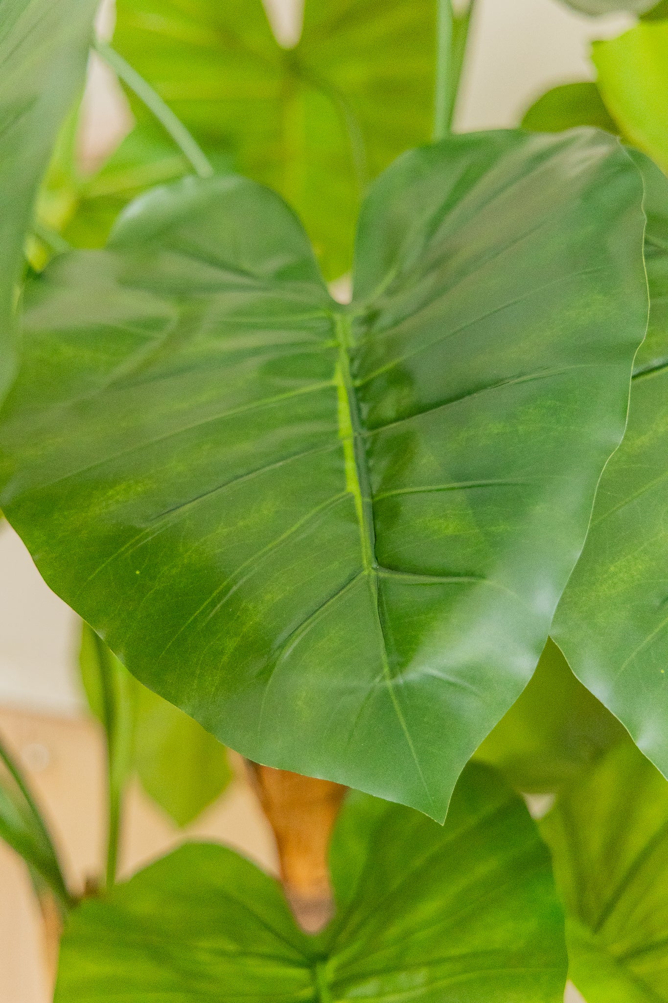 Alocasia Kunstpflanze 140cm