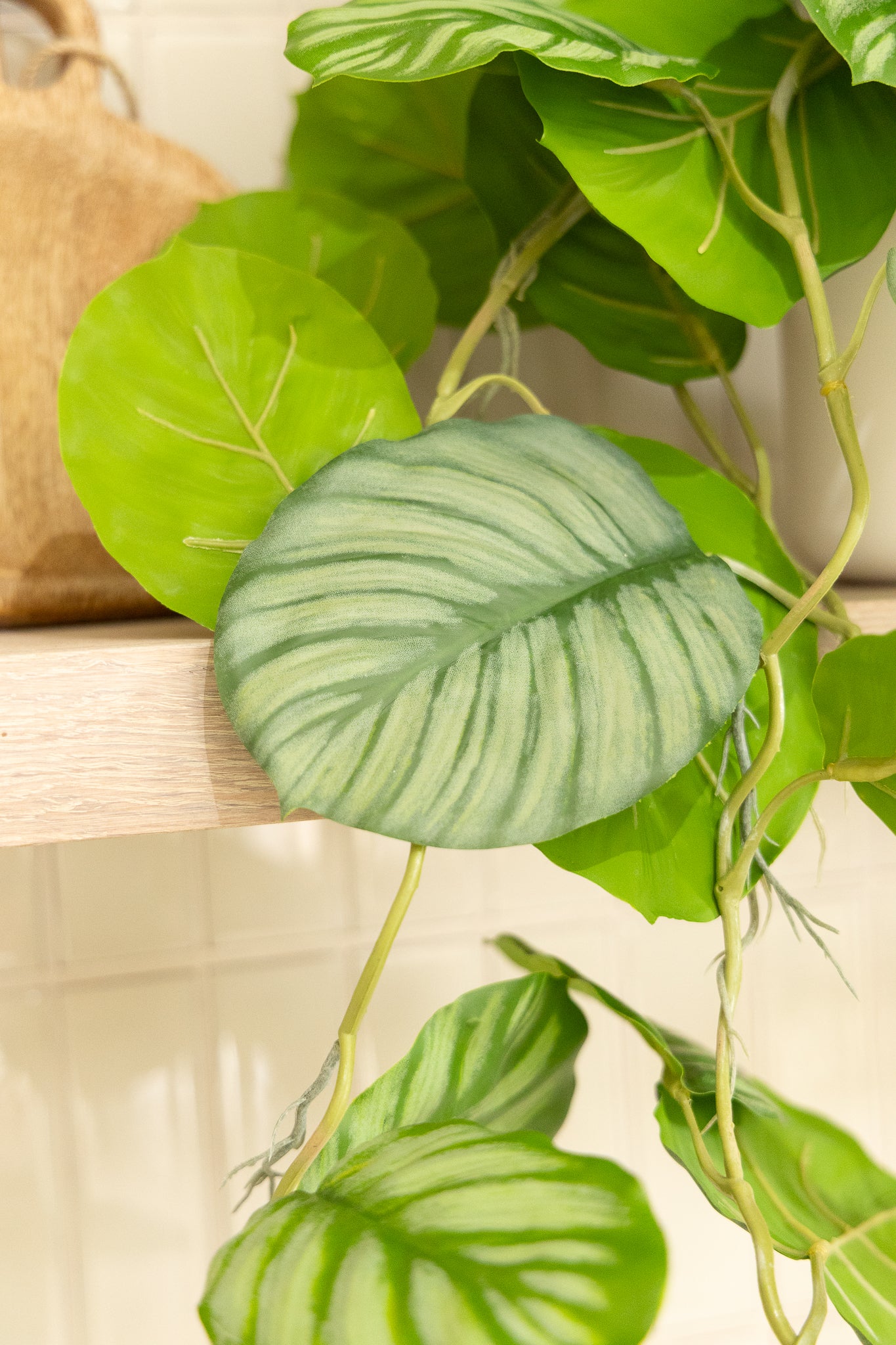 Calathea künstliche Hängepflanze 95cm