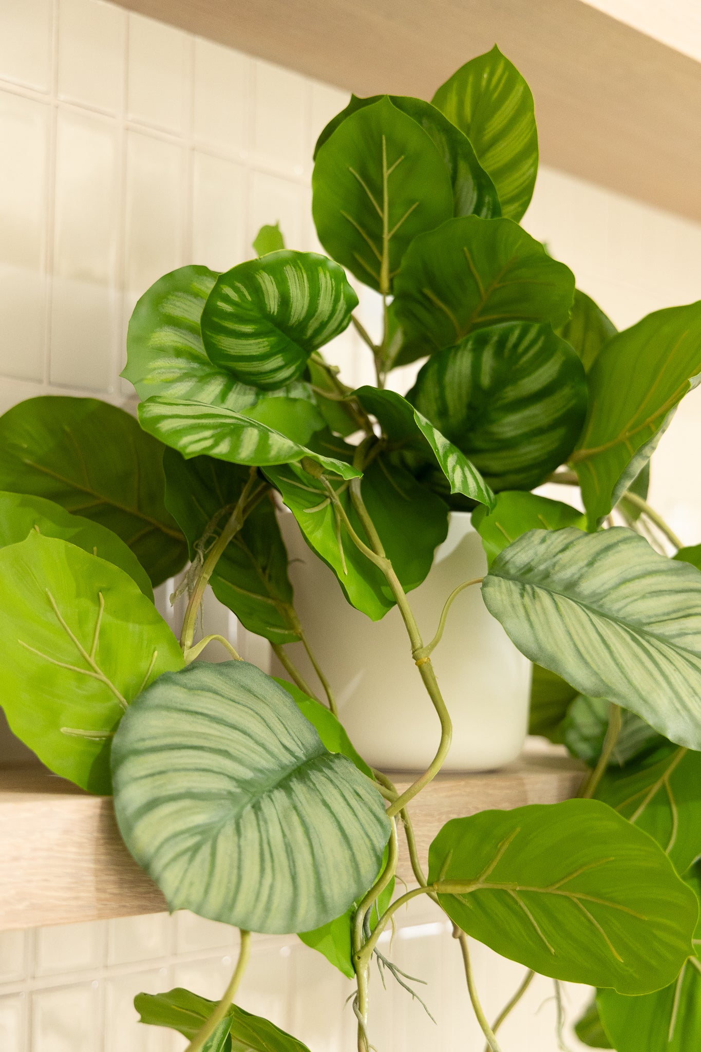 Calathea künstliche Hängepflanze 95cm