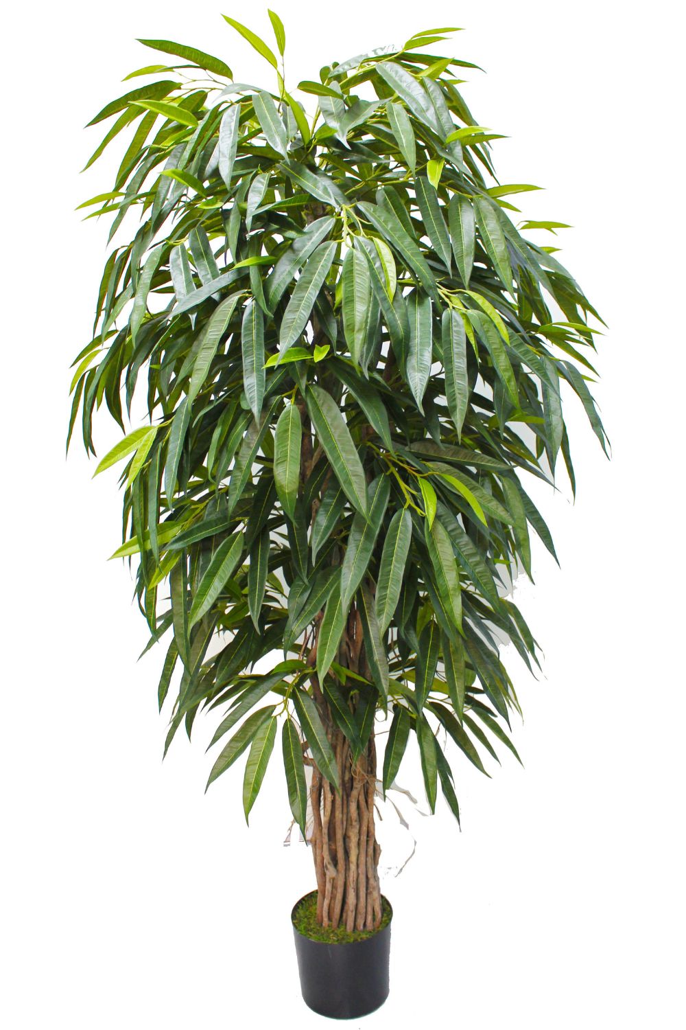 Vorbestellung Longifolia Kunstpflanze 180 cm