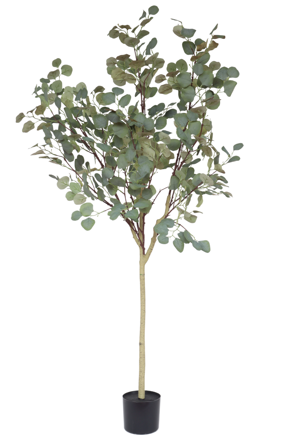 Vorbestellung Eukalyptus Kunstbaum 160cm Grün