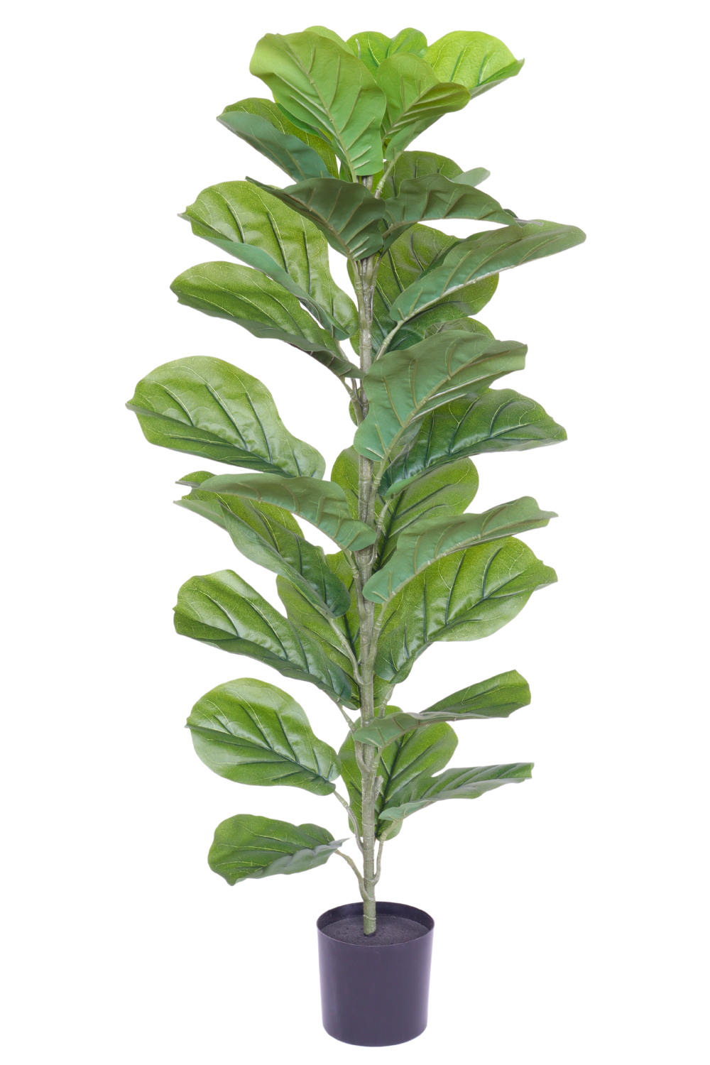 Ficus Kunstpflanze 100cm