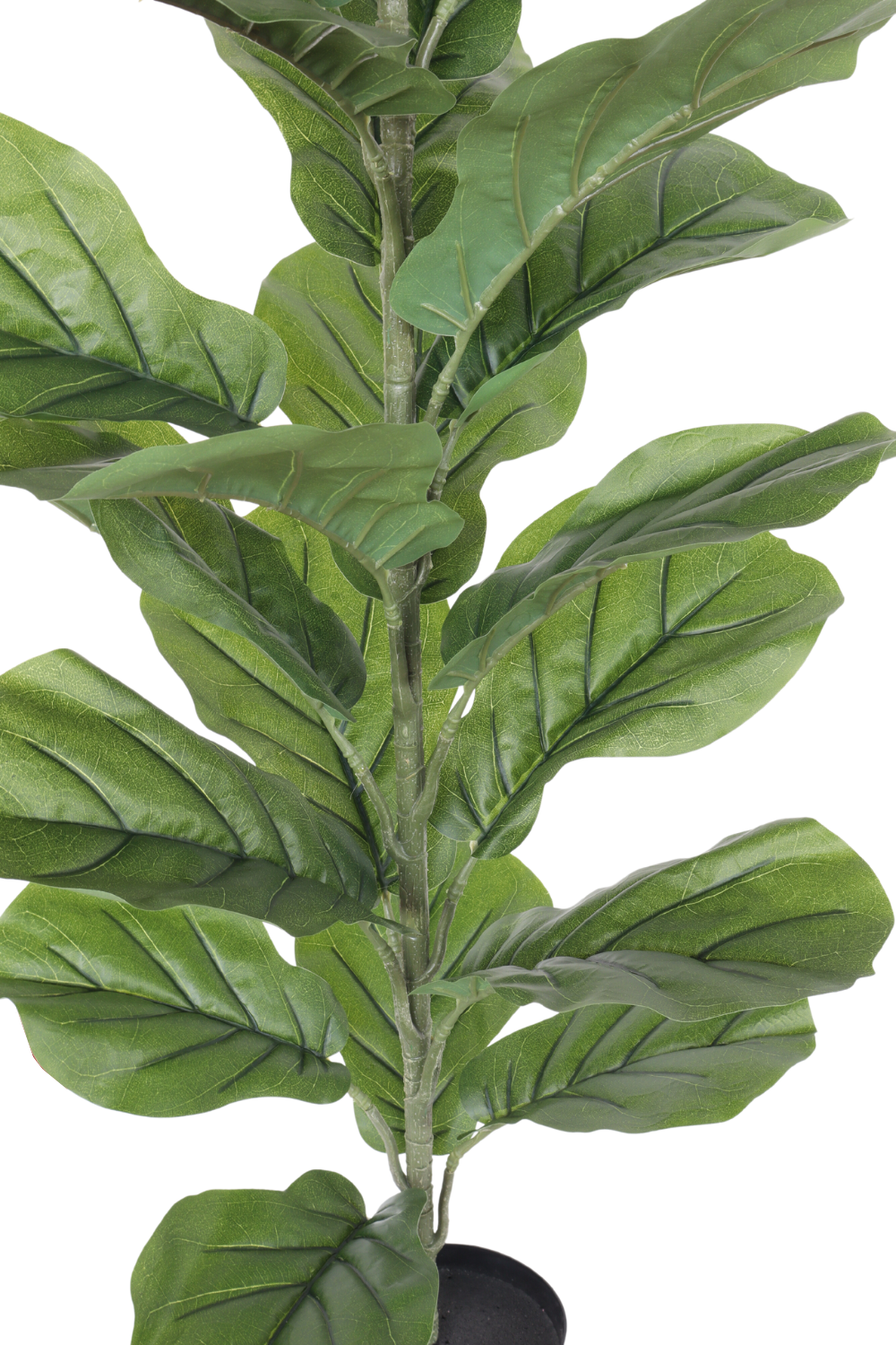 Ficus Kunstpflanze 100cm