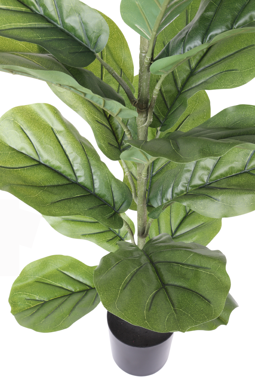 Ficus Kunstpflanze 100cm