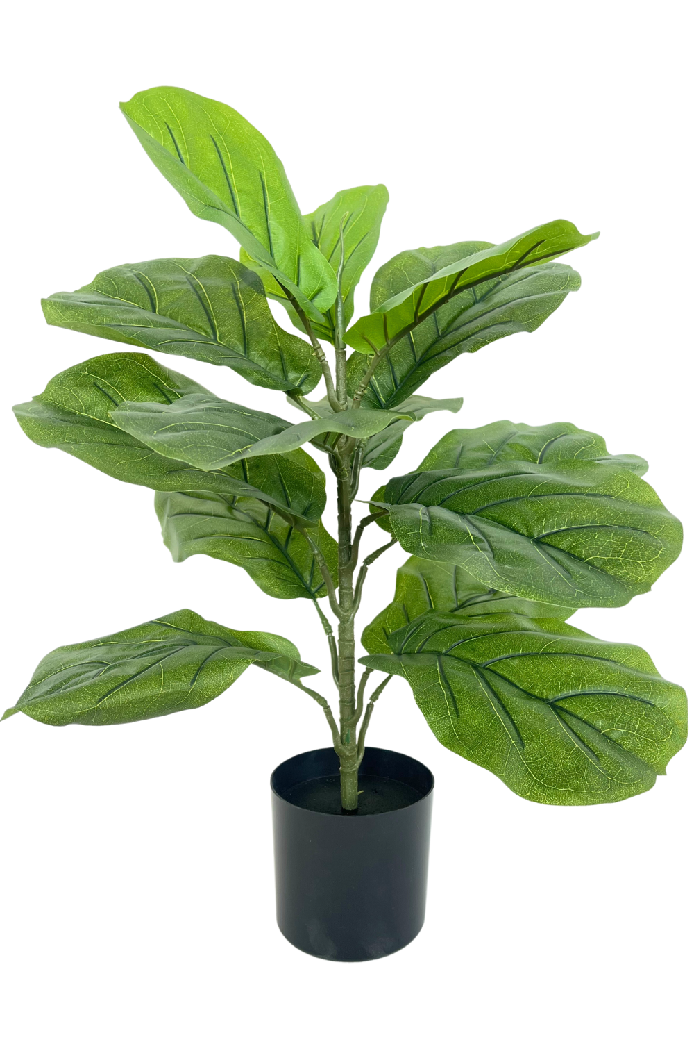 Ficus Kunstpflanze 60cm