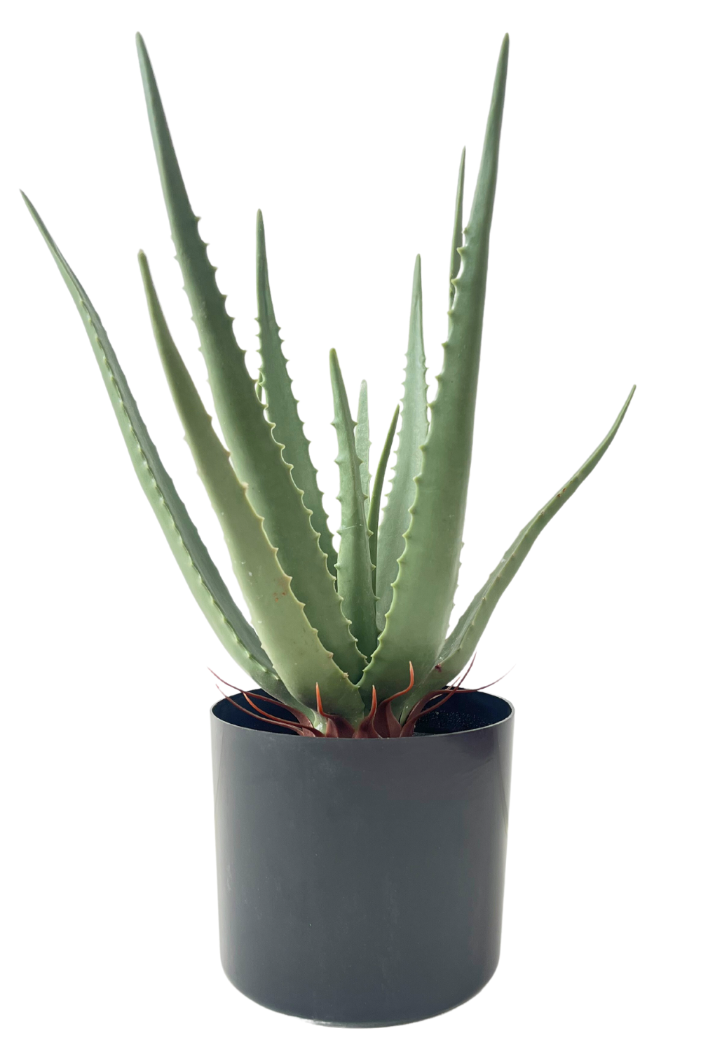 Aloe Vera Kunstpflanze 45cm
